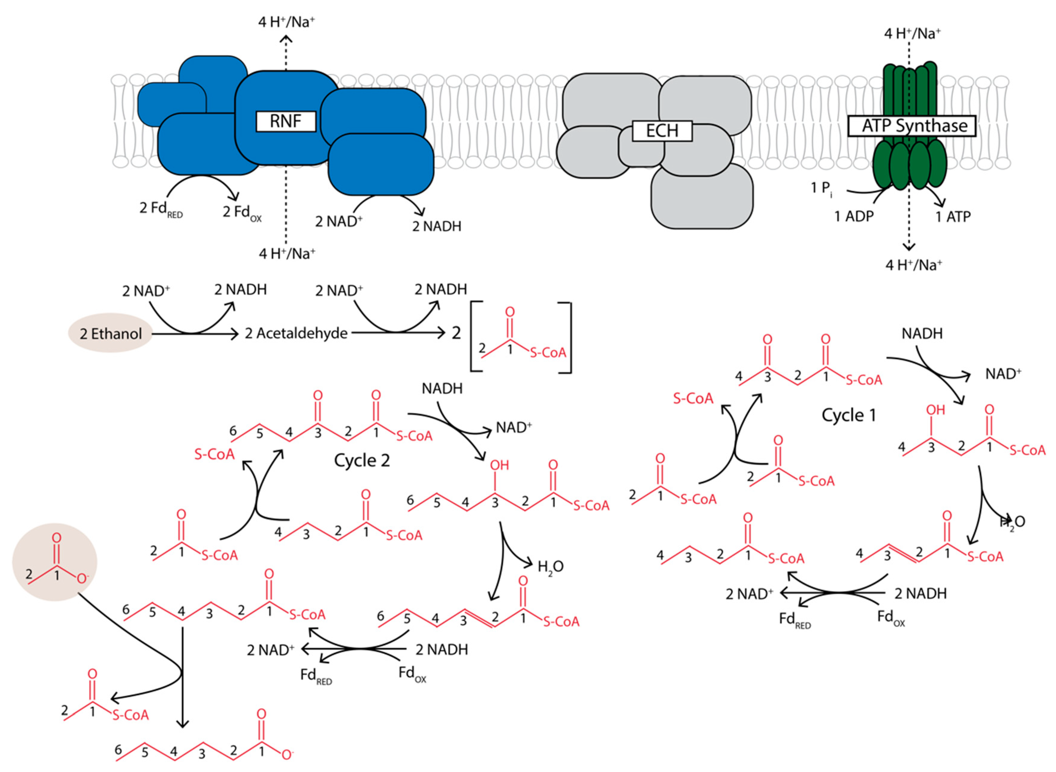 Processes 08 01571 g006