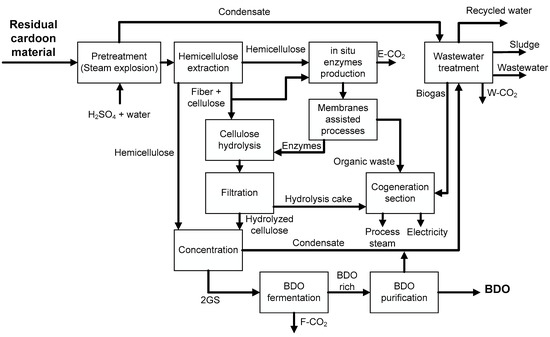 From Cardoon Lignocellulosic Biomass to Bio-1,4 Butanediol: An 