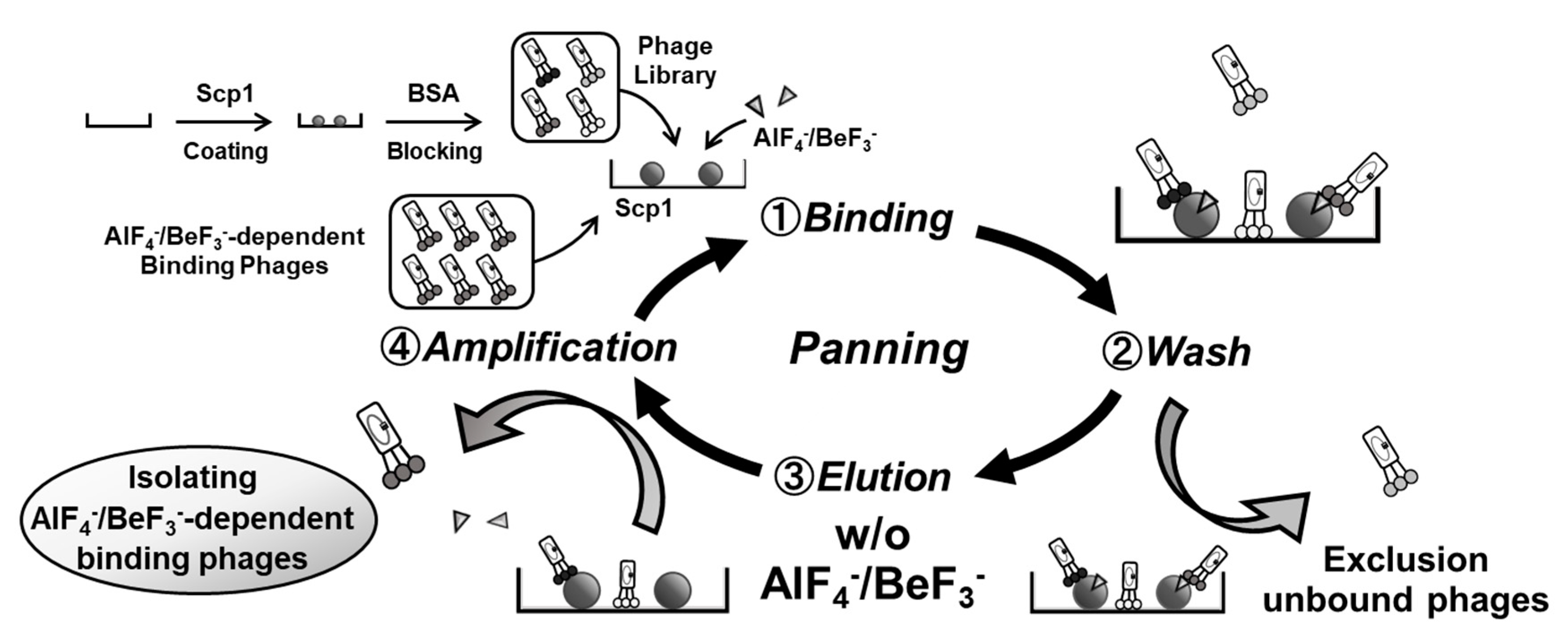 Processes 08 01598 g002 Processes 08 01598 g002