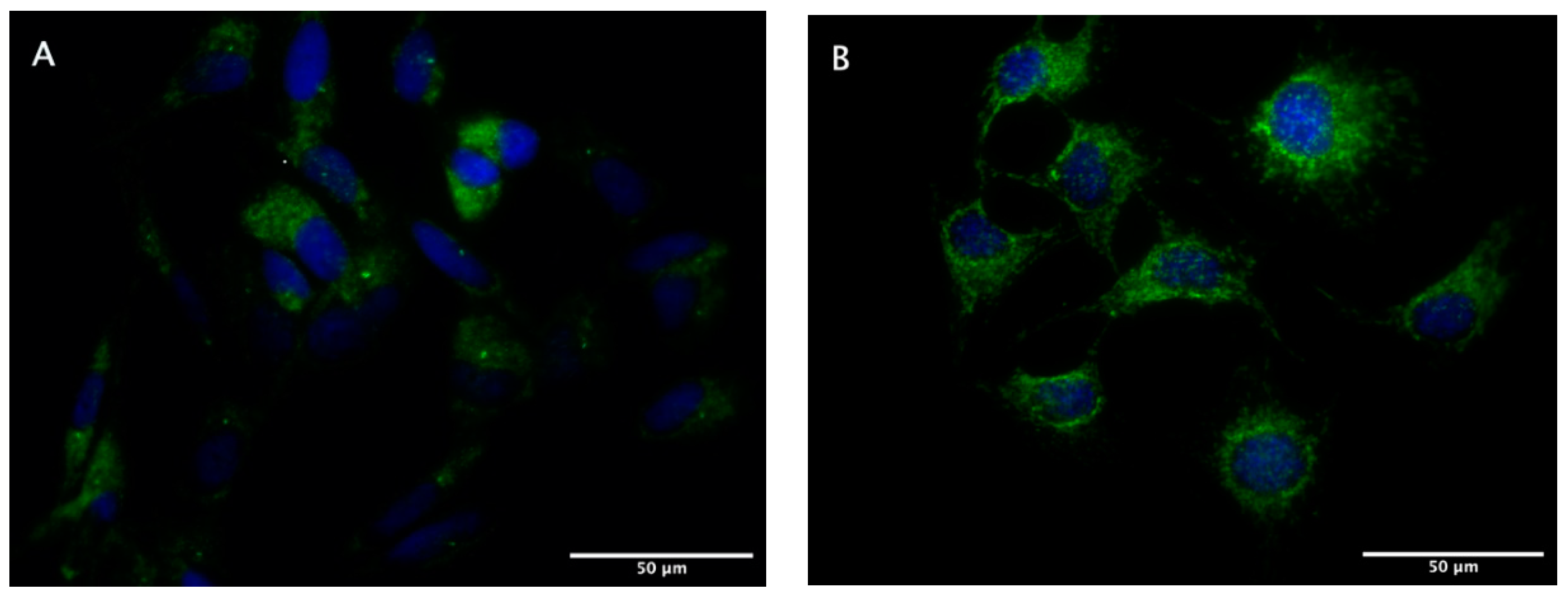 Processes 08 01615 g002