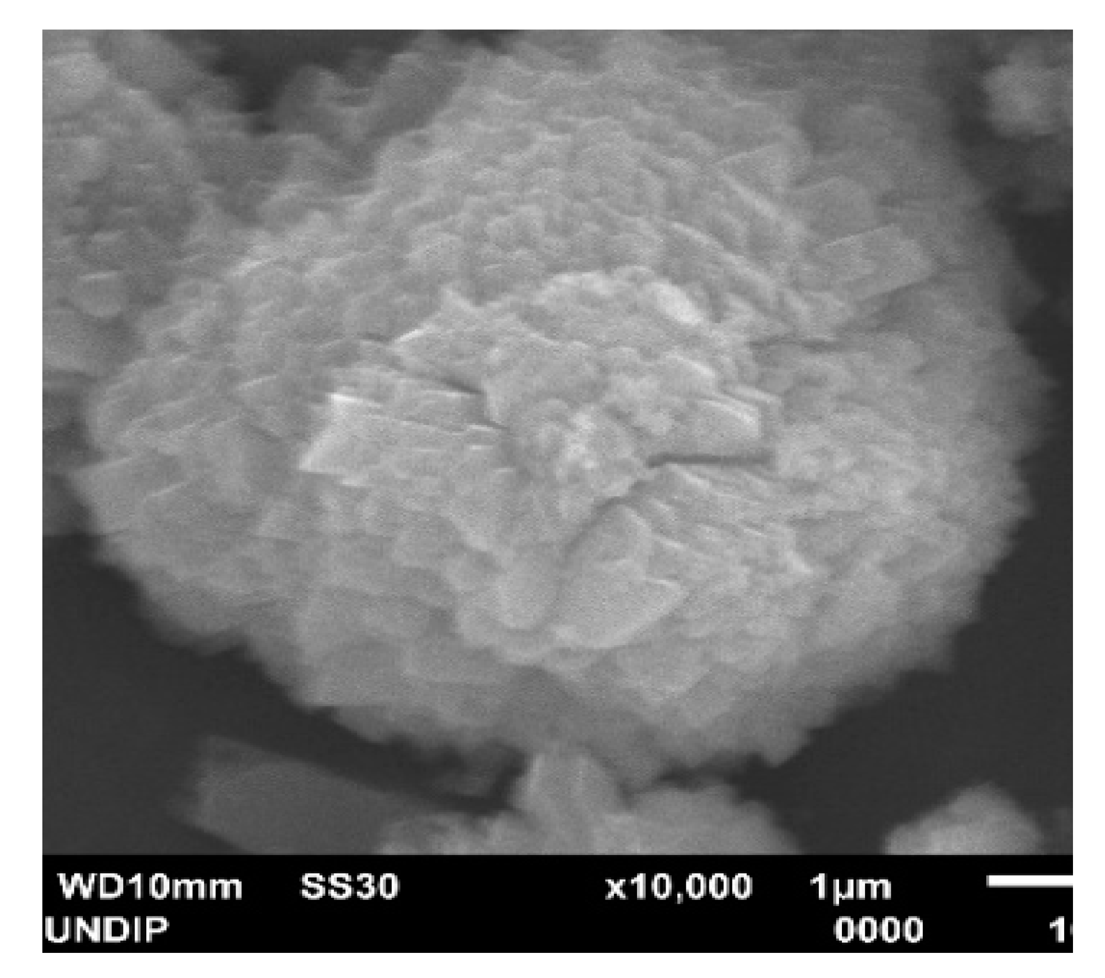 Processes 08 01629 g002