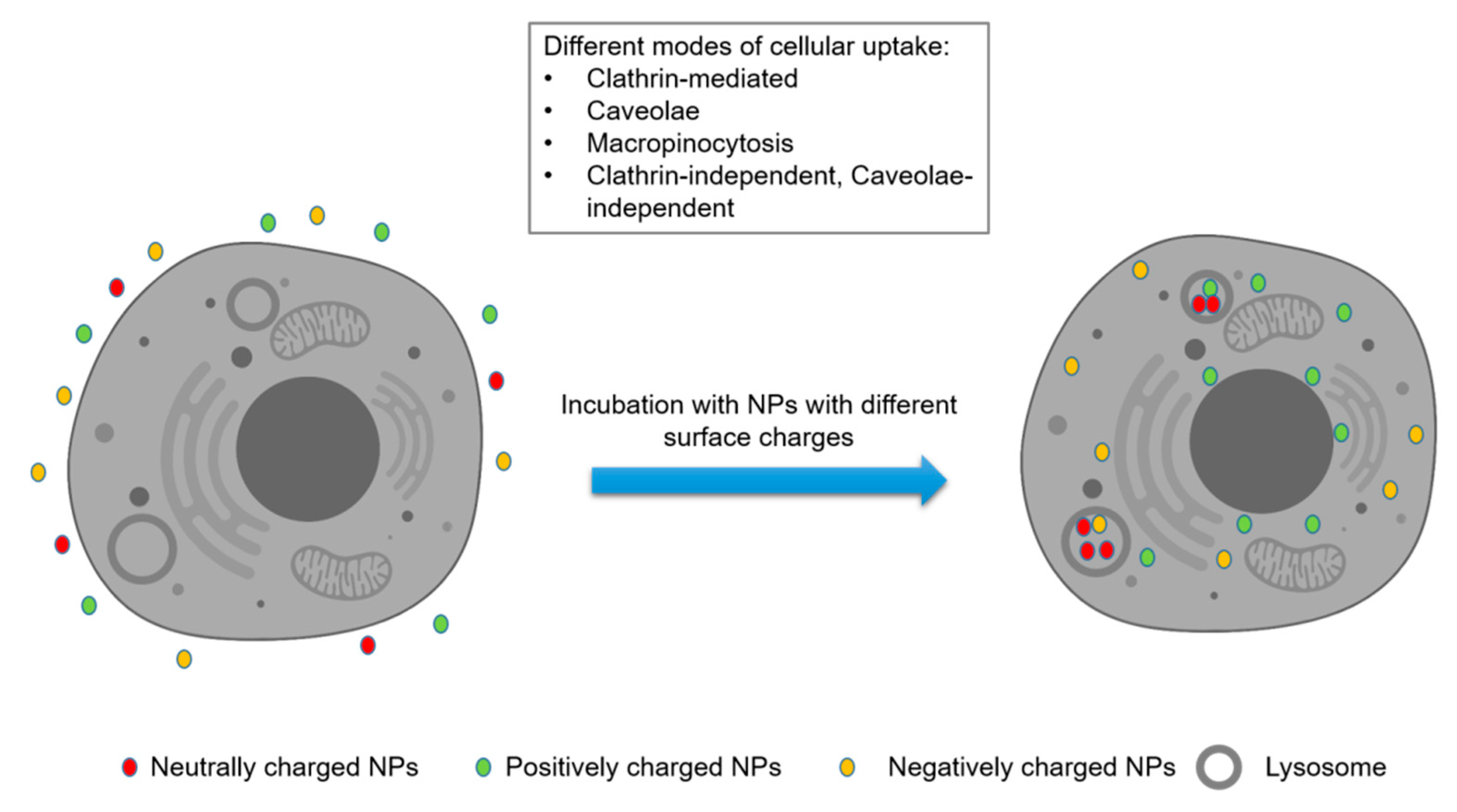 Processes 08 01636 g001