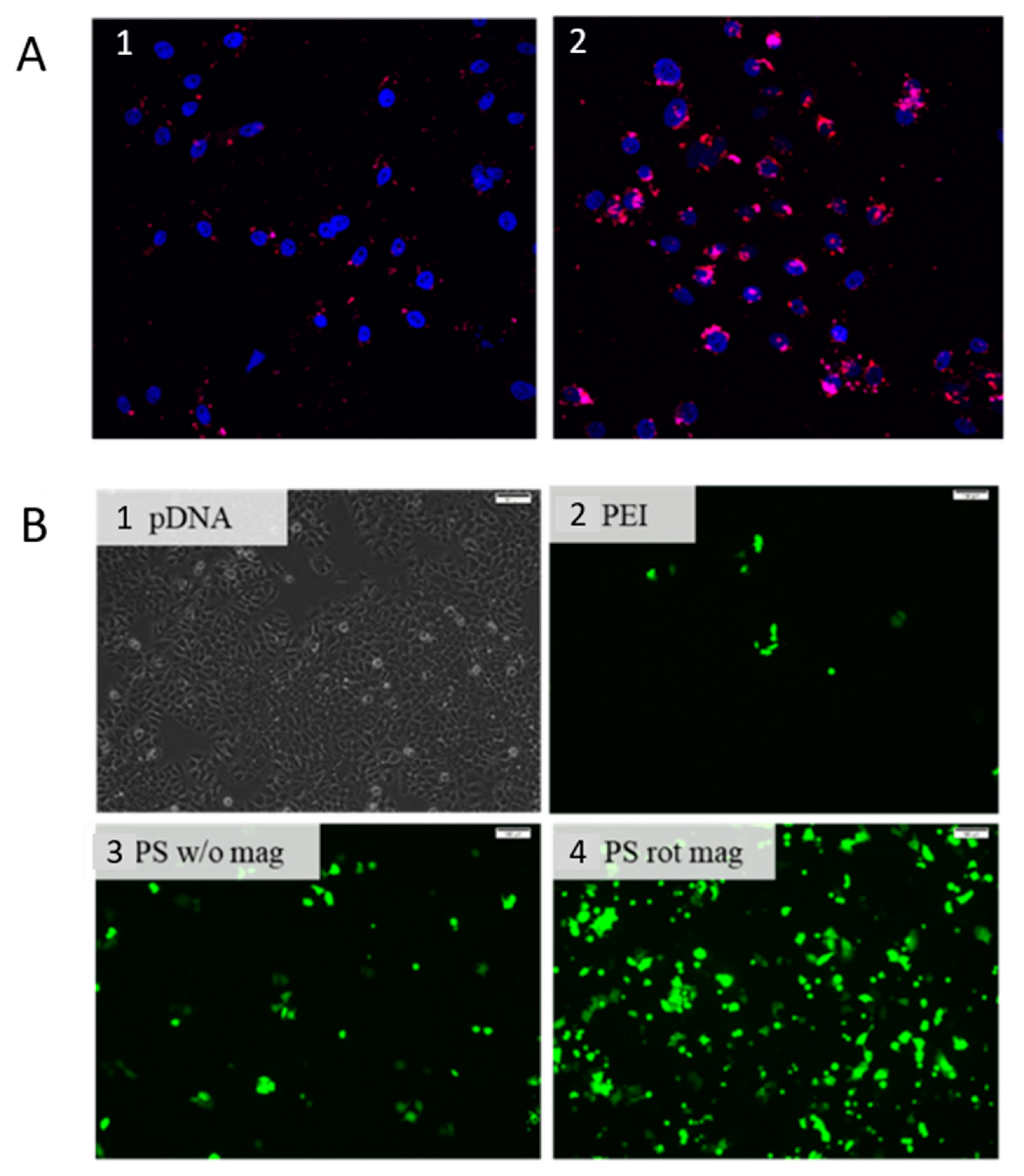 Processes 08 01636 g007