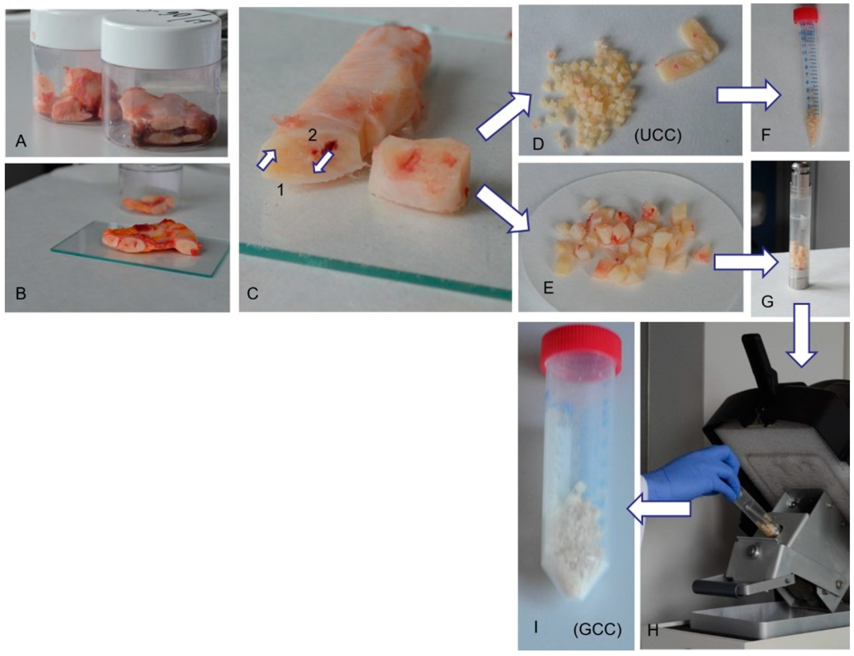 Processes 08 01637 g002