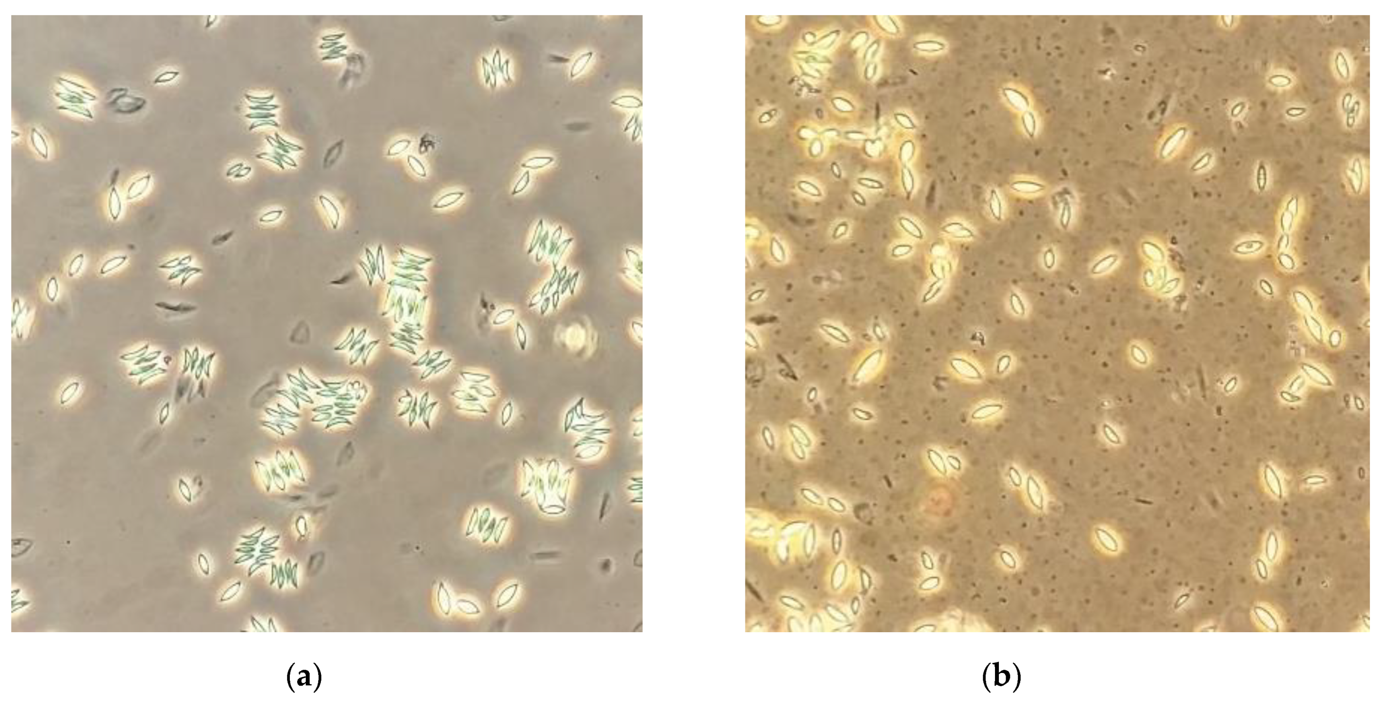 Processes 08 01640 g004 Processes 08 01640 g004
