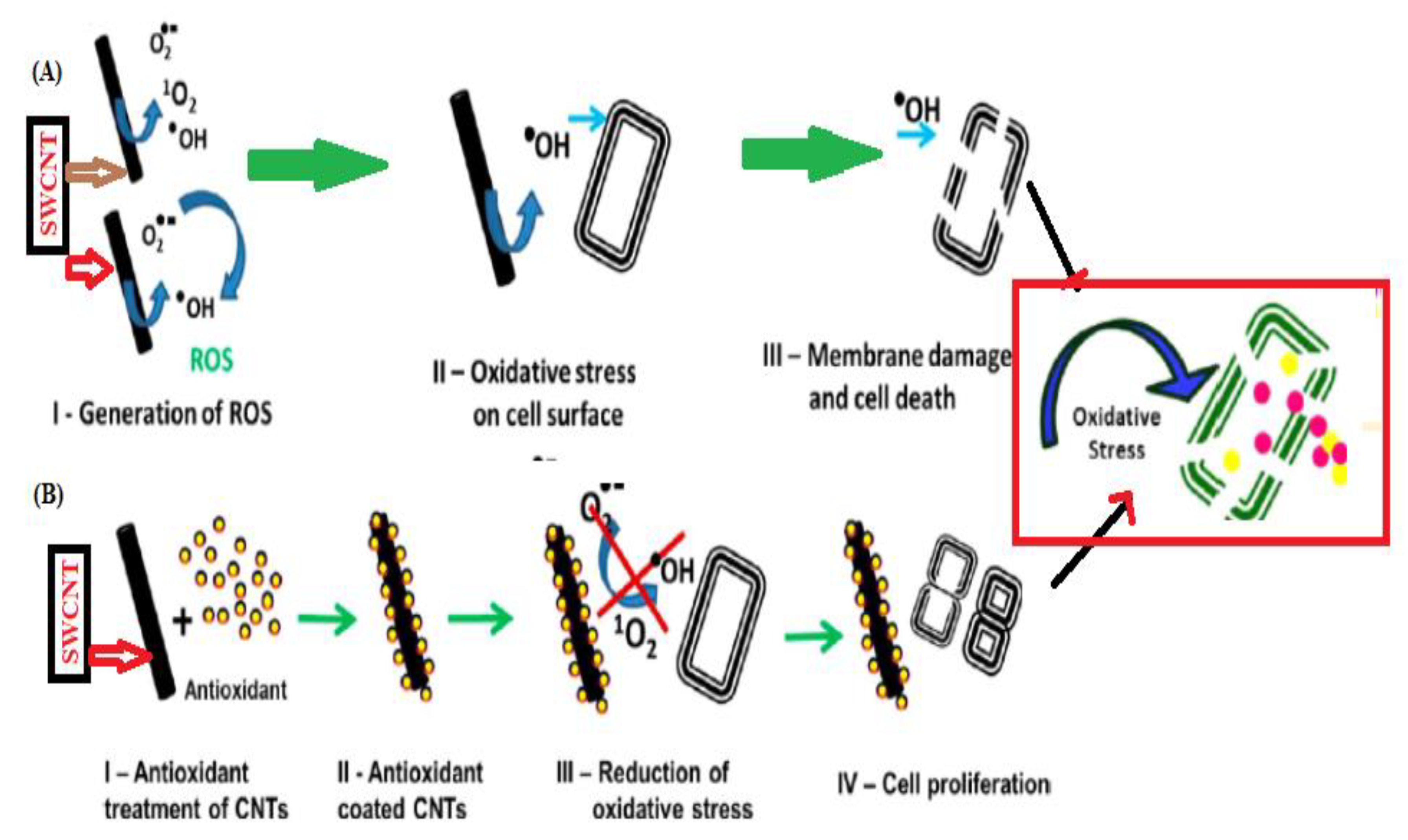 Processes 08 01654 g005 Processes 08 01654 g005