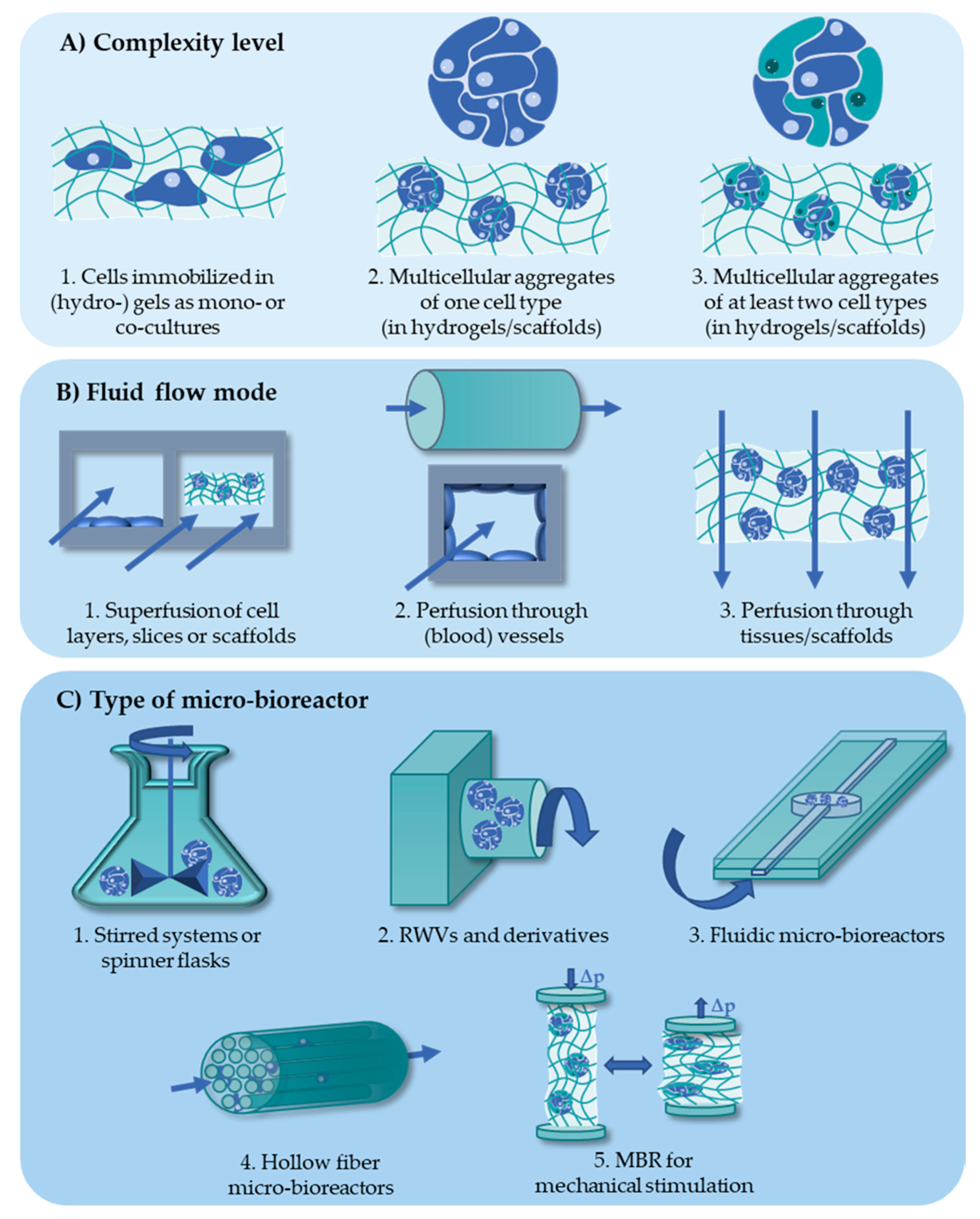 Processes 08 01656 g002