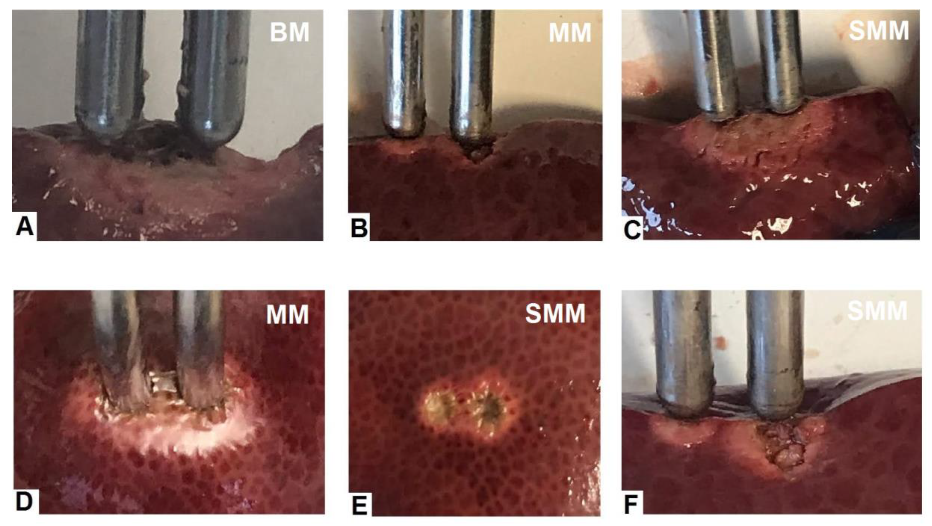 Processes 08 01660 g010