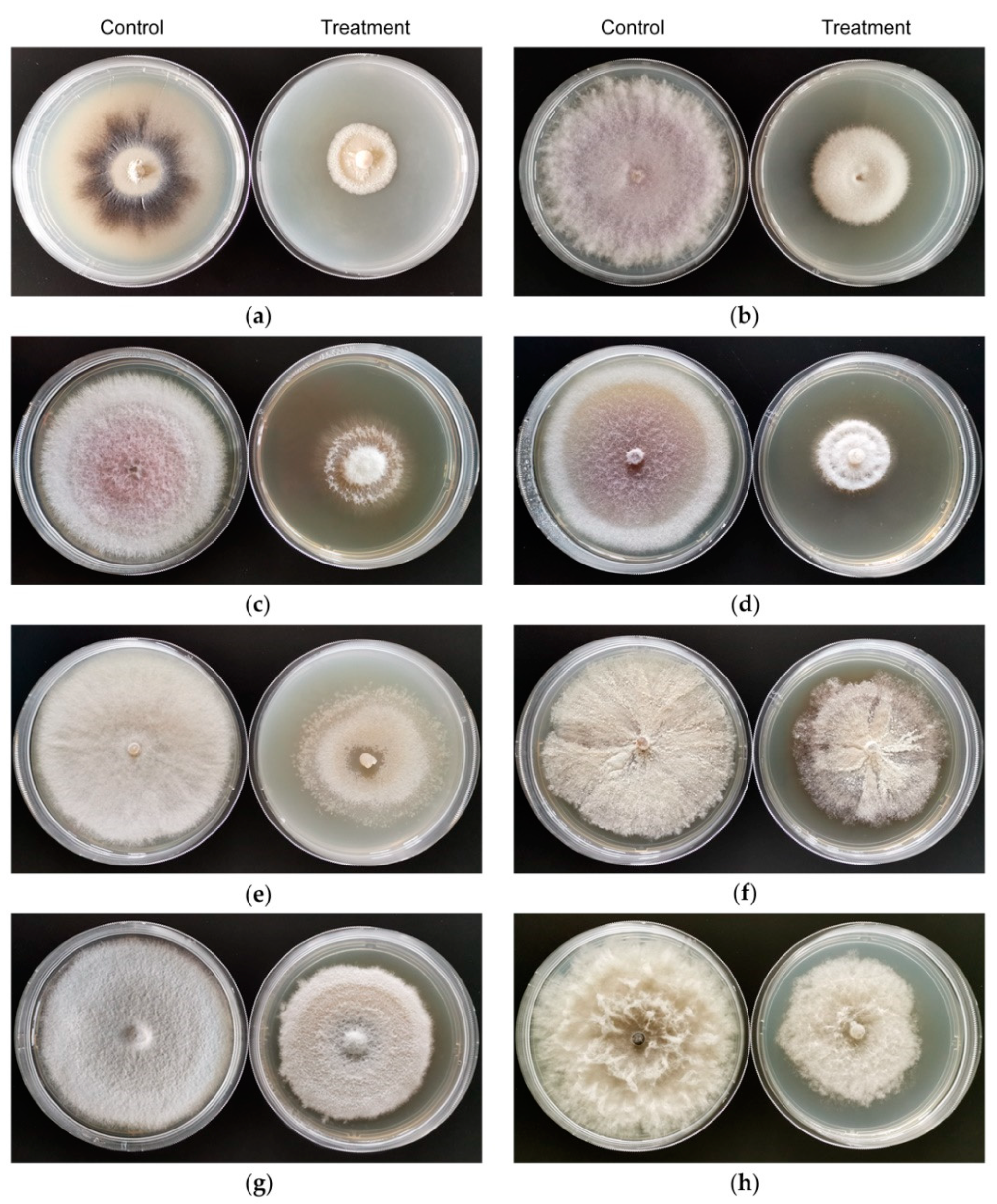 Processes 08 01674 g002