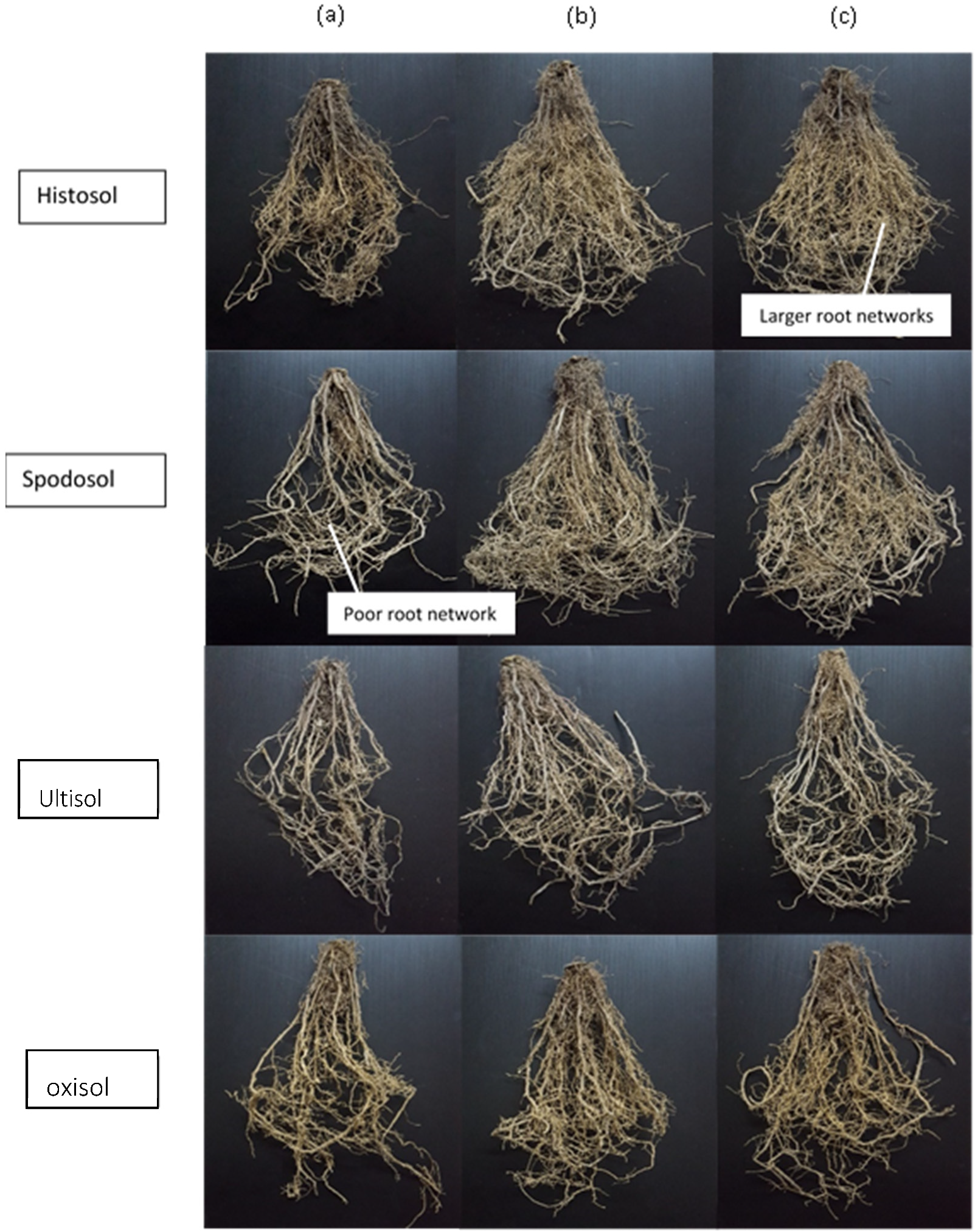 Processes 08 01681 g006 Processes 08 01681 g006