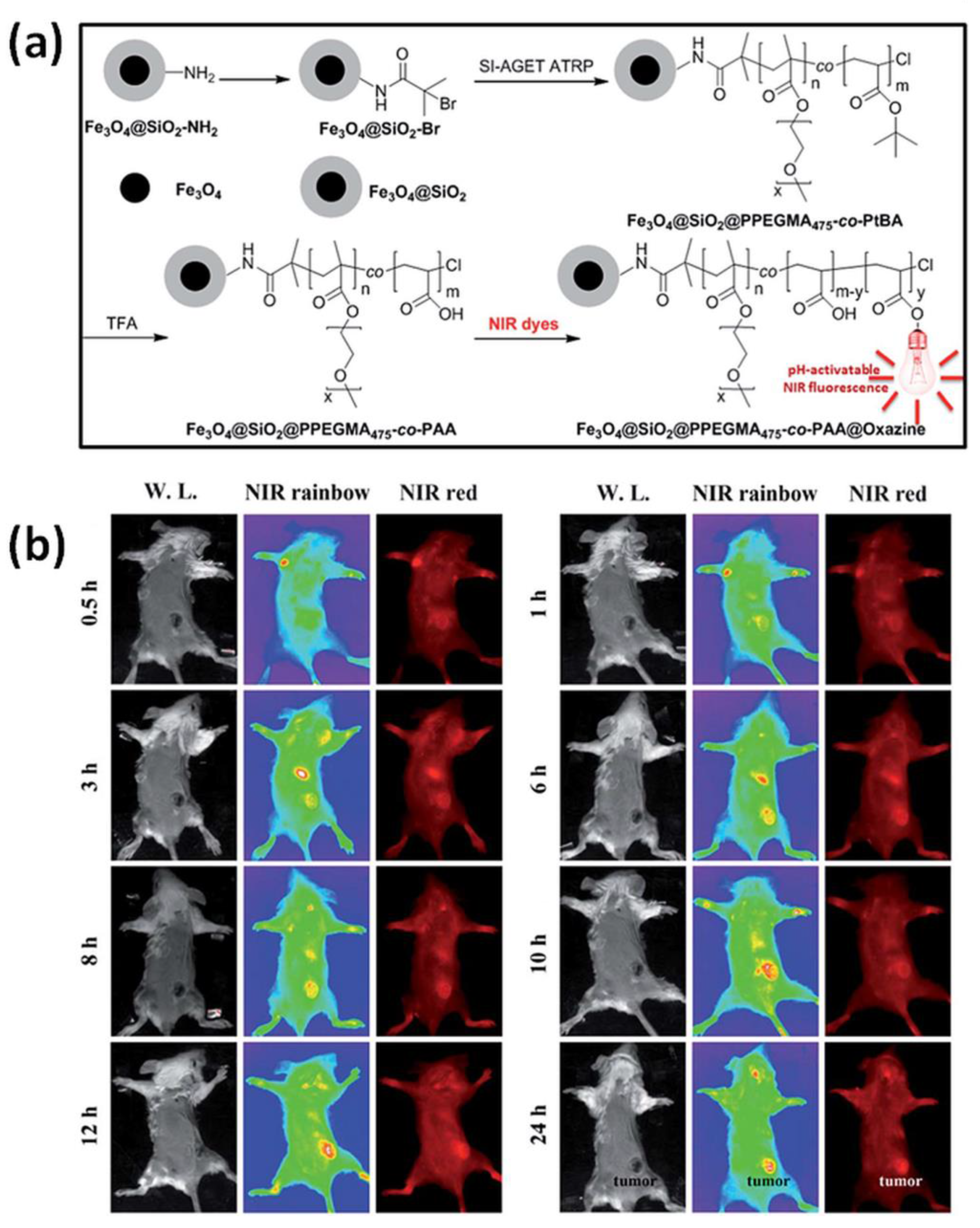 Iron-Based Catalytically Active Complexes in Preparation of