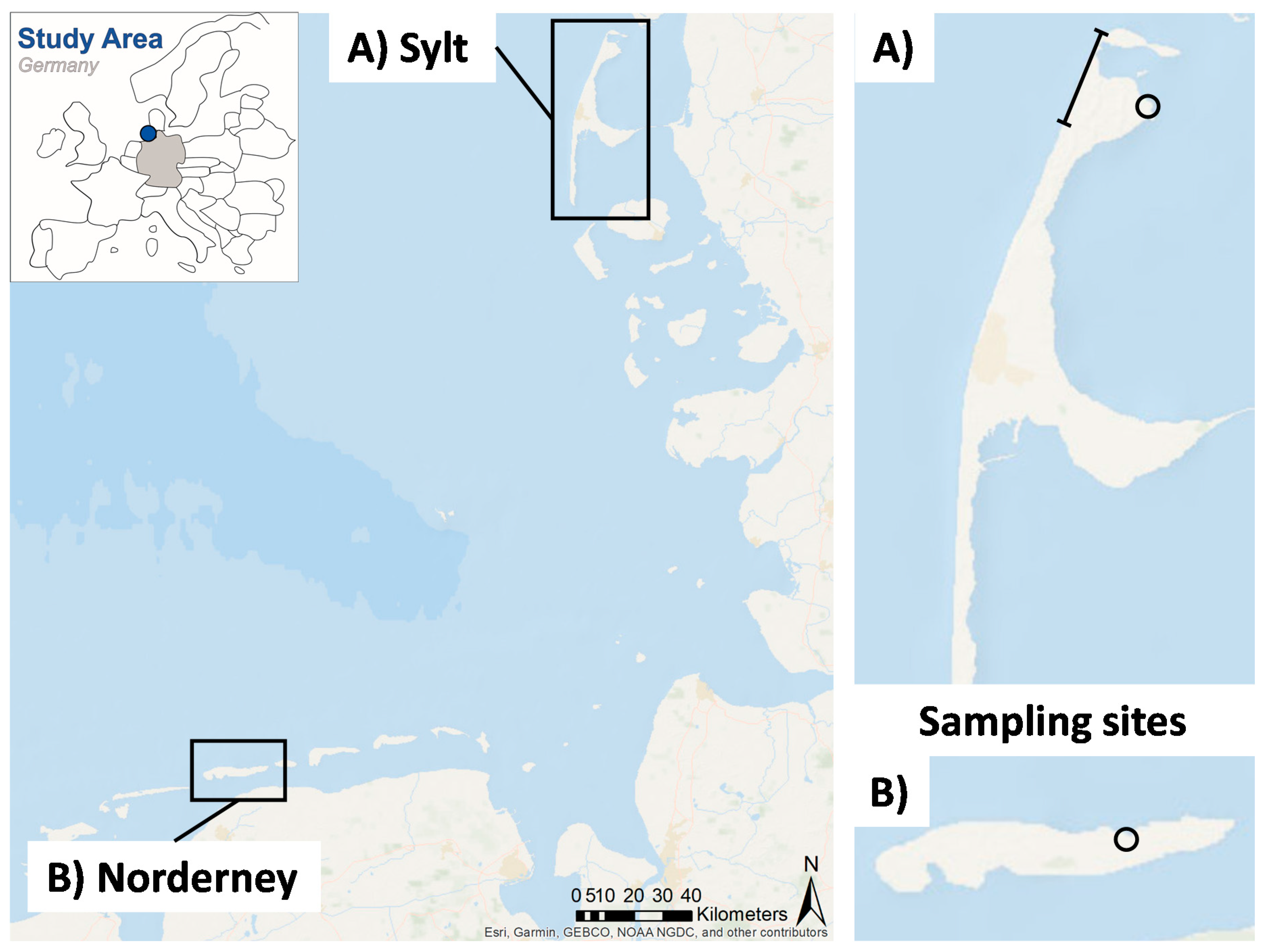 Processes 09 00013 g002 Processes 09 00013 g002