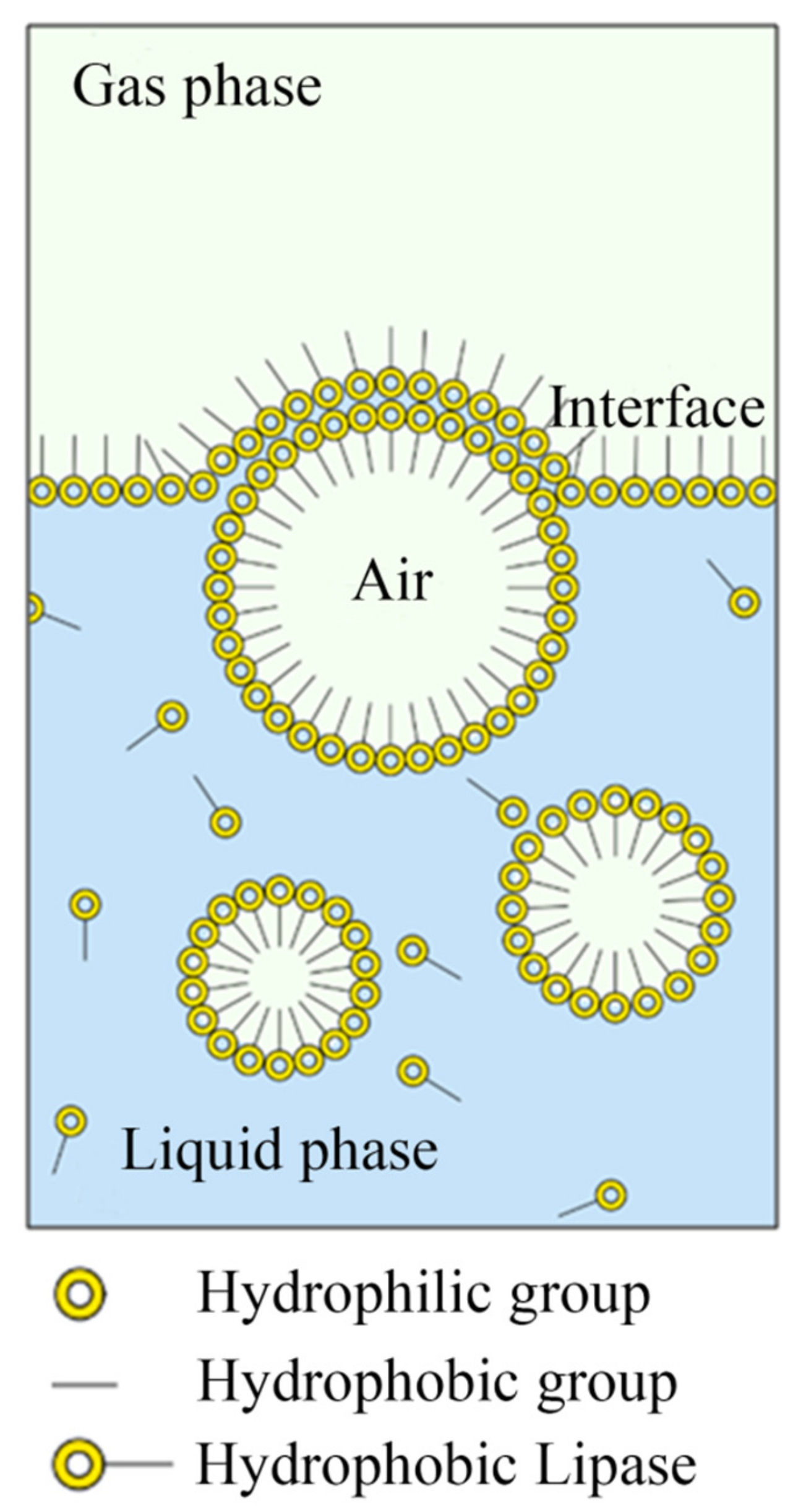 Processes 09 00014 g001