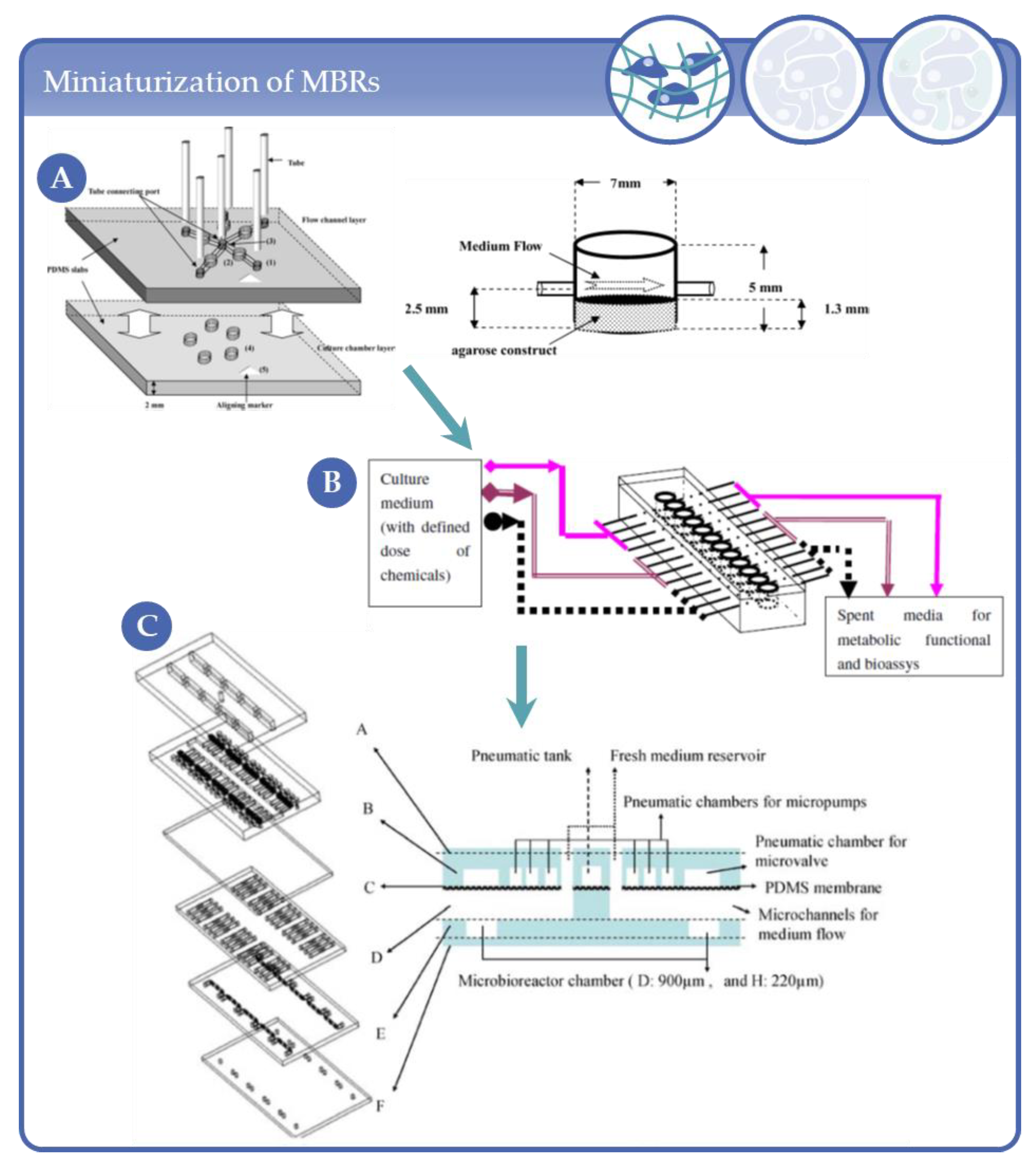 Processes 09 00021 g004