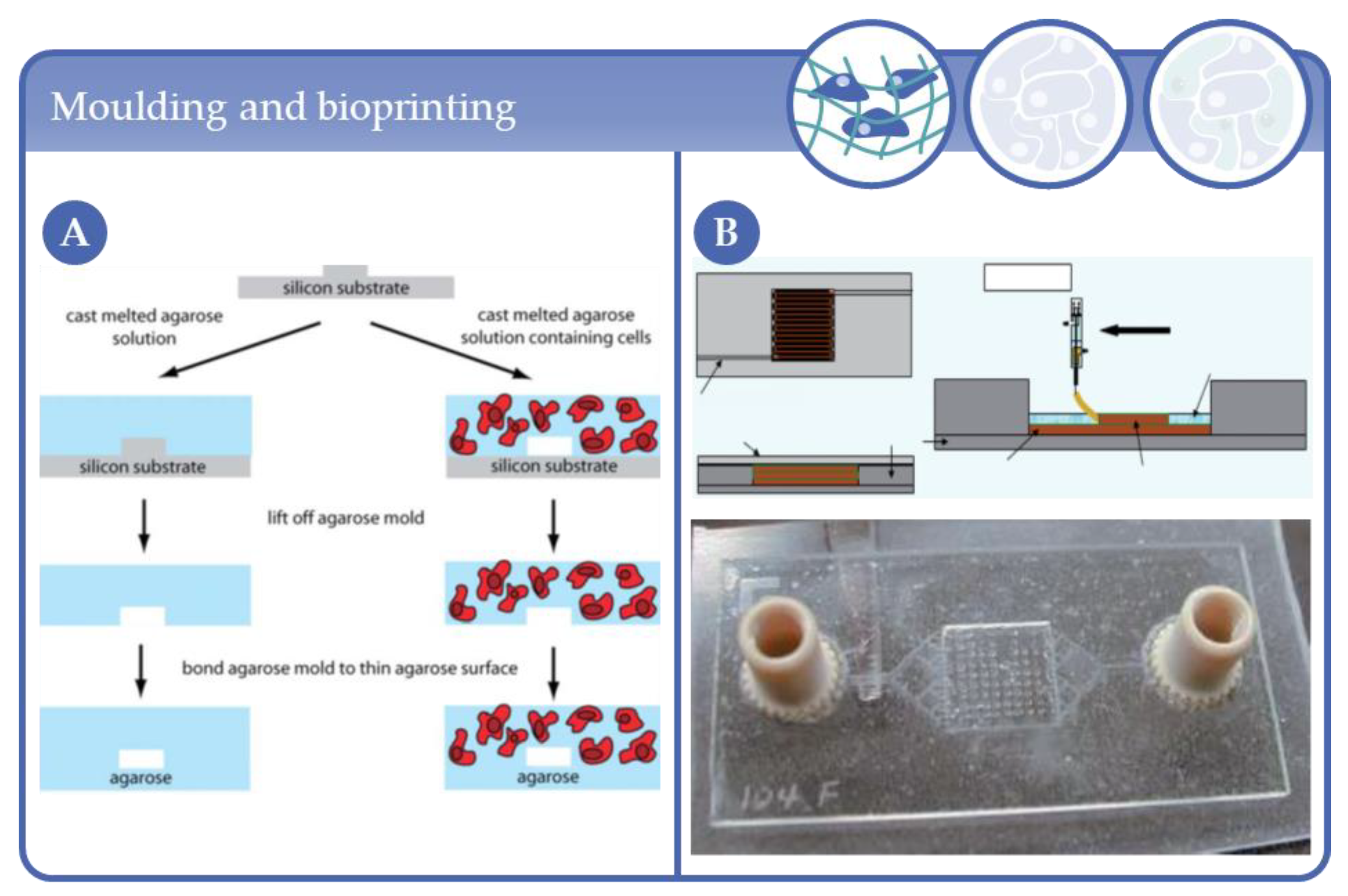 Processes 09 00021 g005