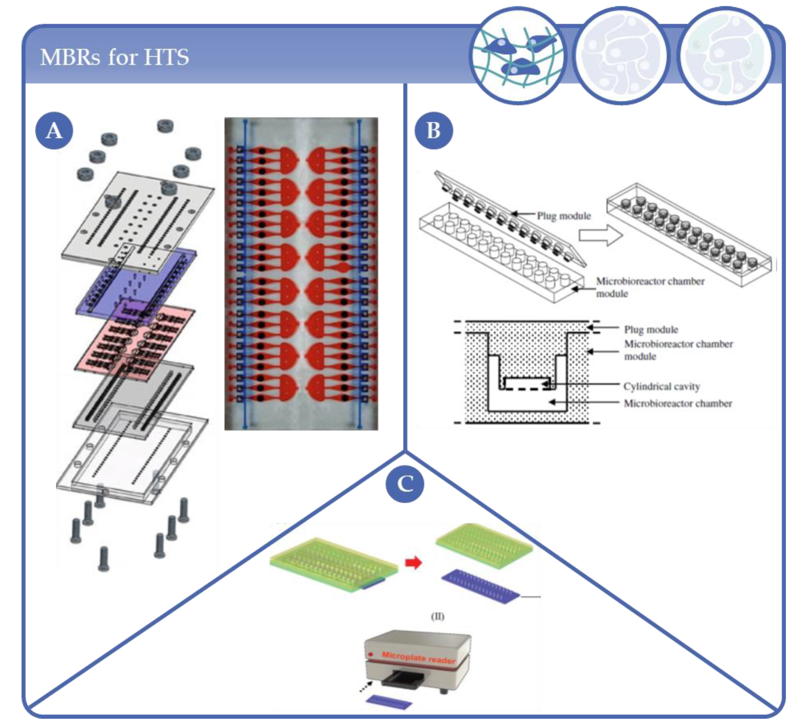 Processes 09 00021 g006