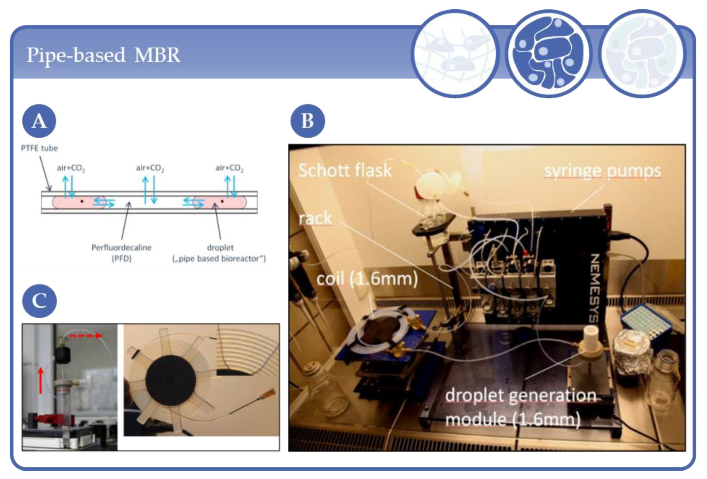 Processes 09 00021 g011