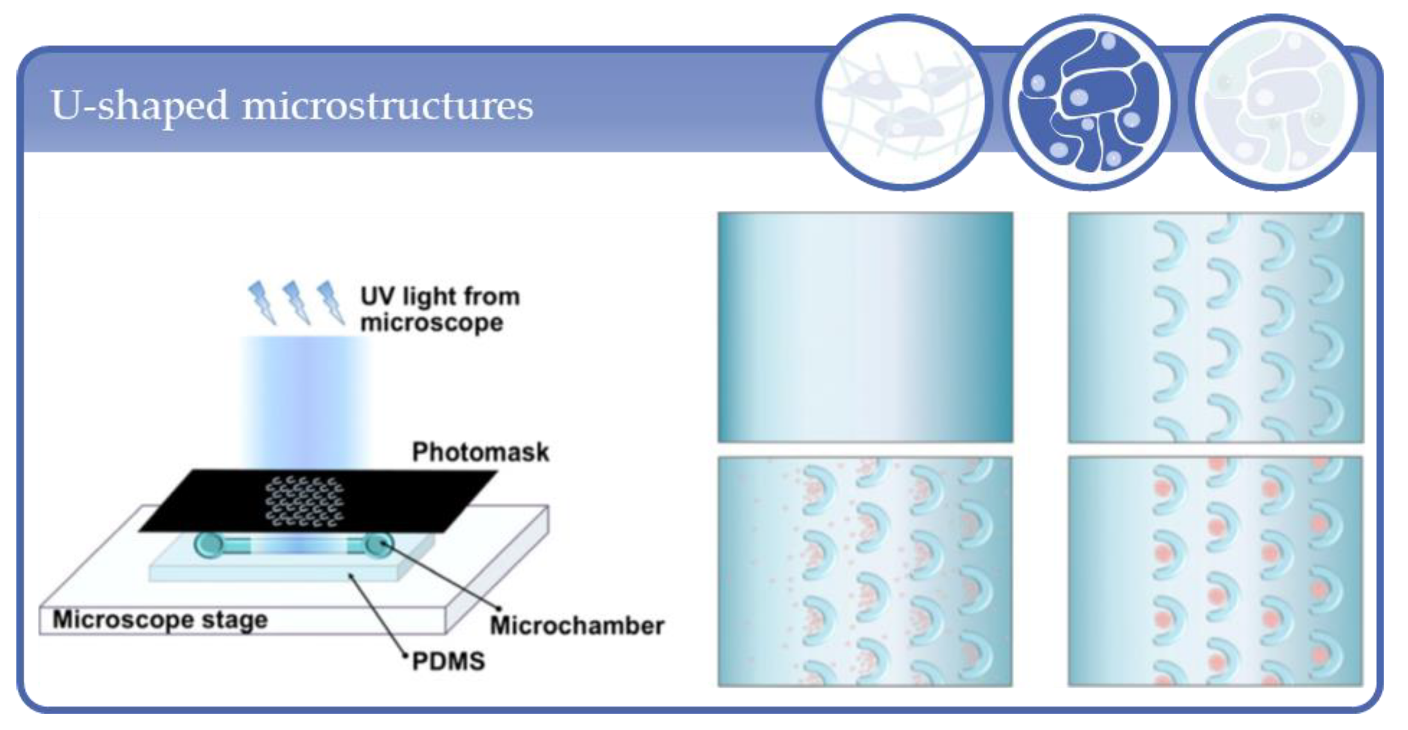 Processes 09 00021 g014