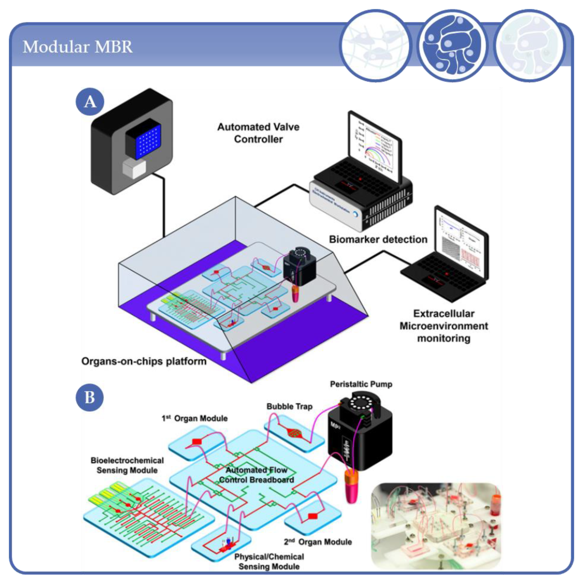 Processes 09 00021 g017