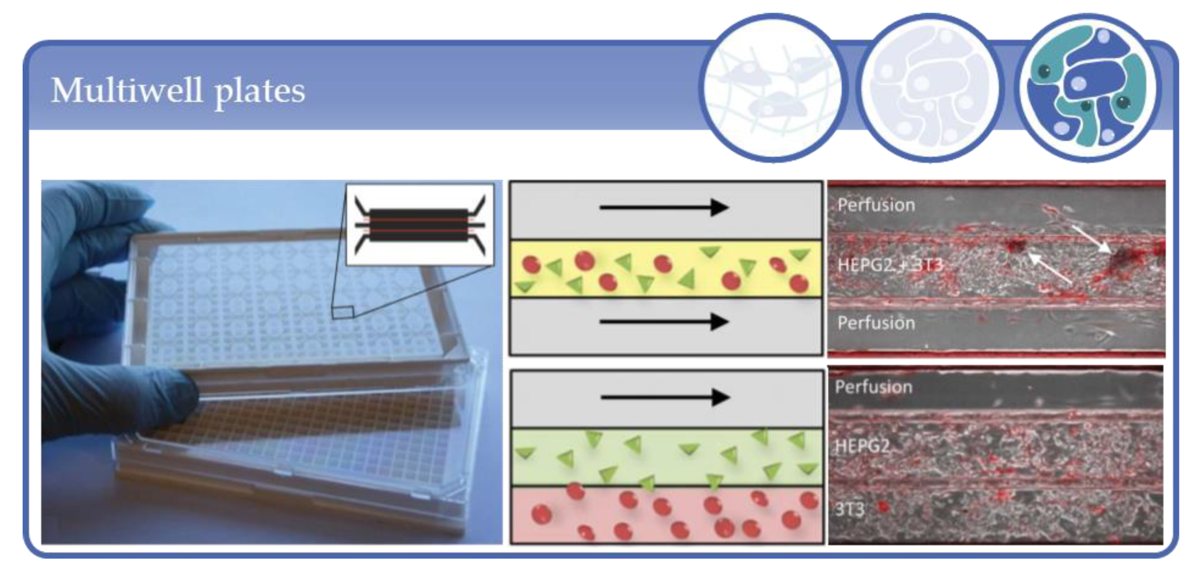 Processes 09 00021 g021