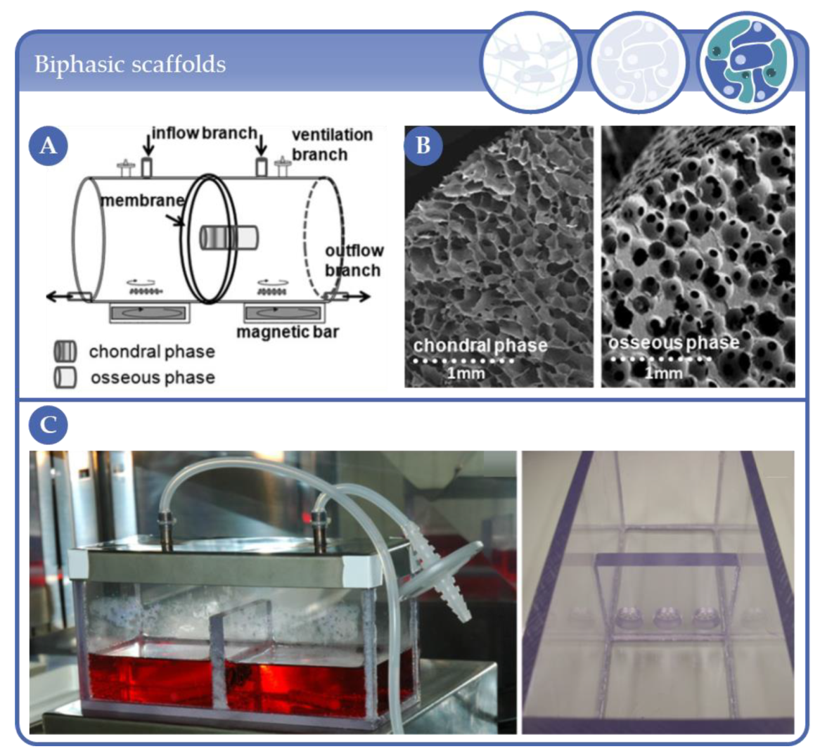 Processes 09 00021 g023