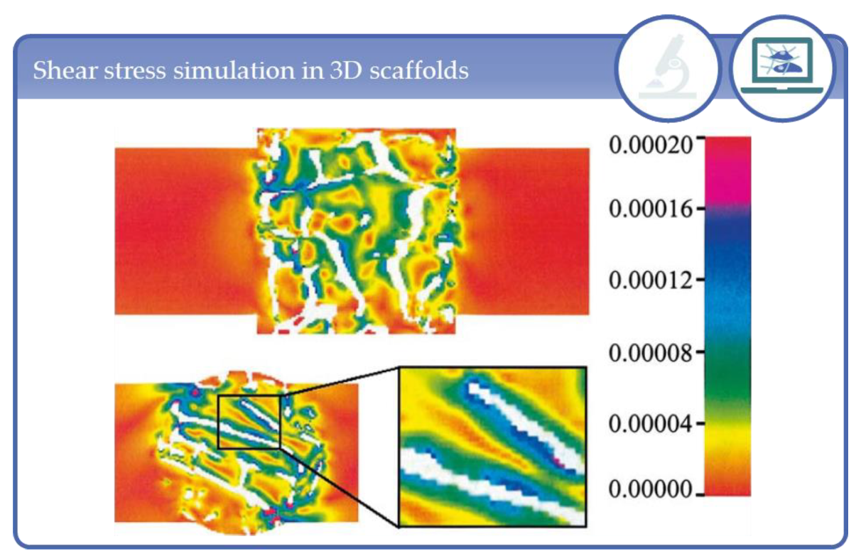 Processes 09 00021 g027