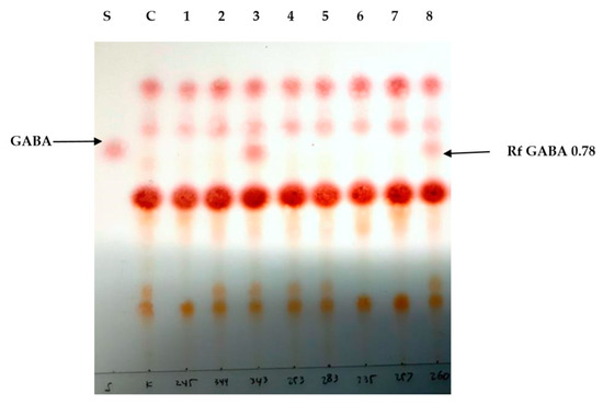 Microbial Production and Enzymatic Biosynthesis of γ
