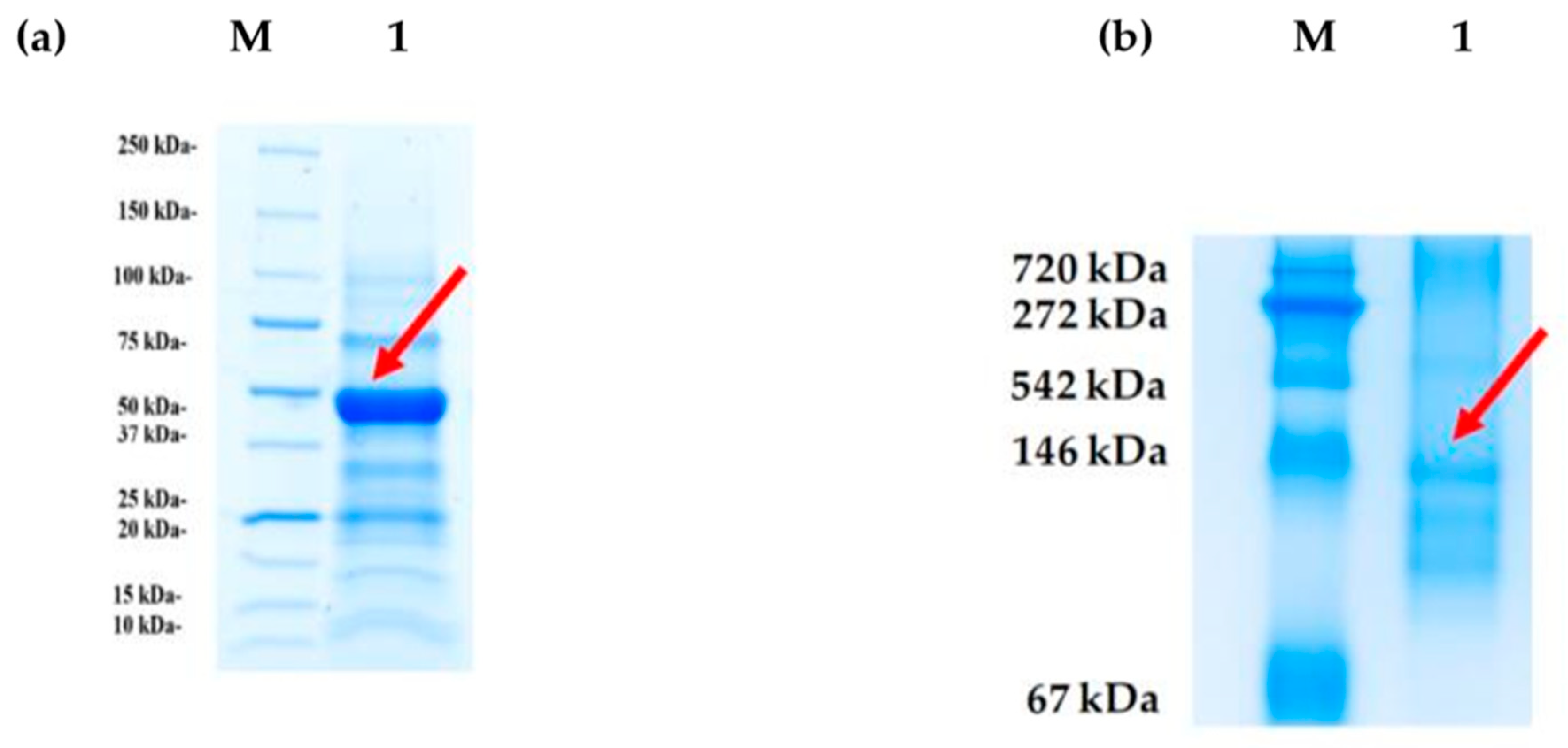 Processes 09 00022 g006 Processes 09 00022 g006