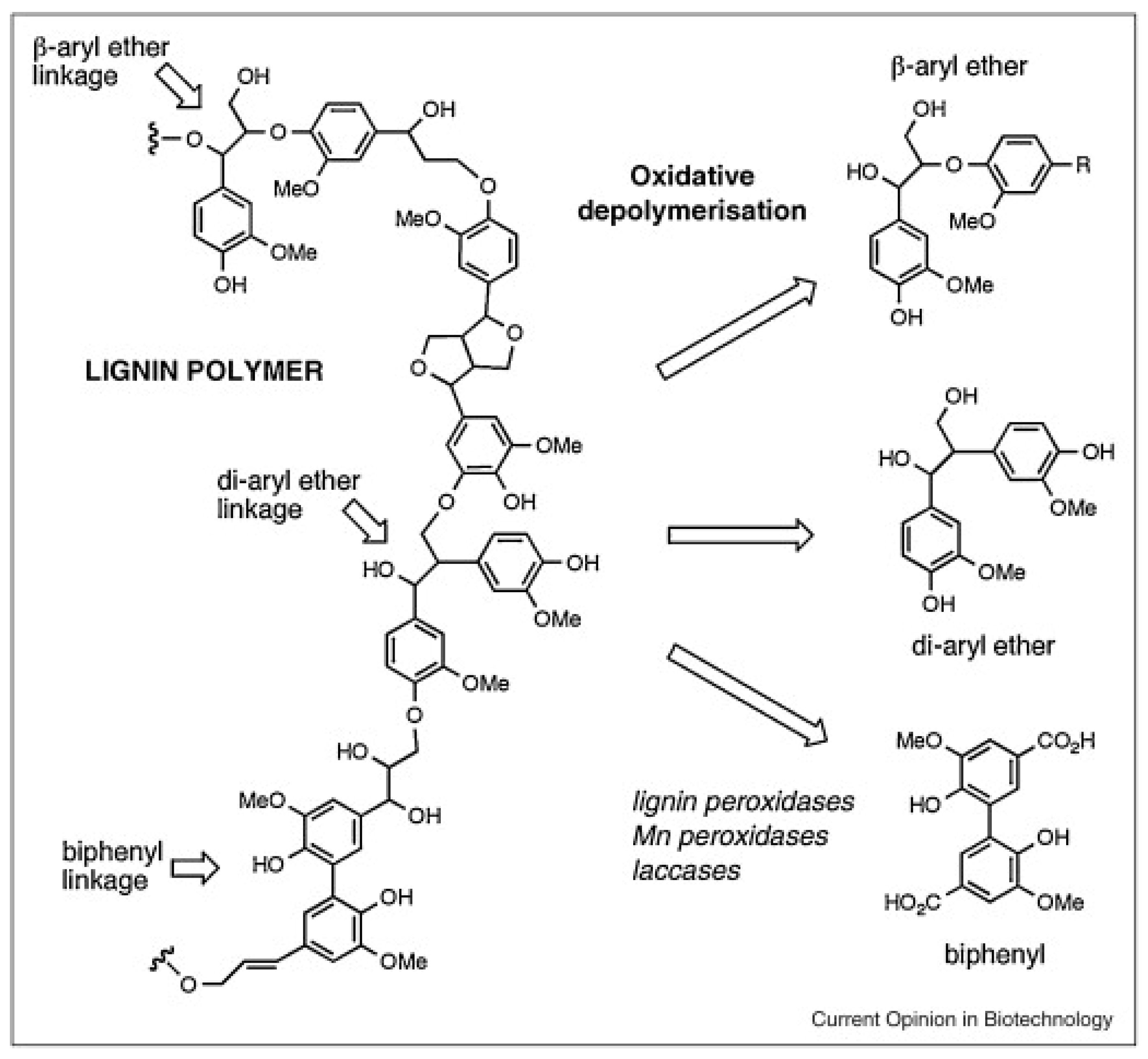 Processes 09 00038 g003