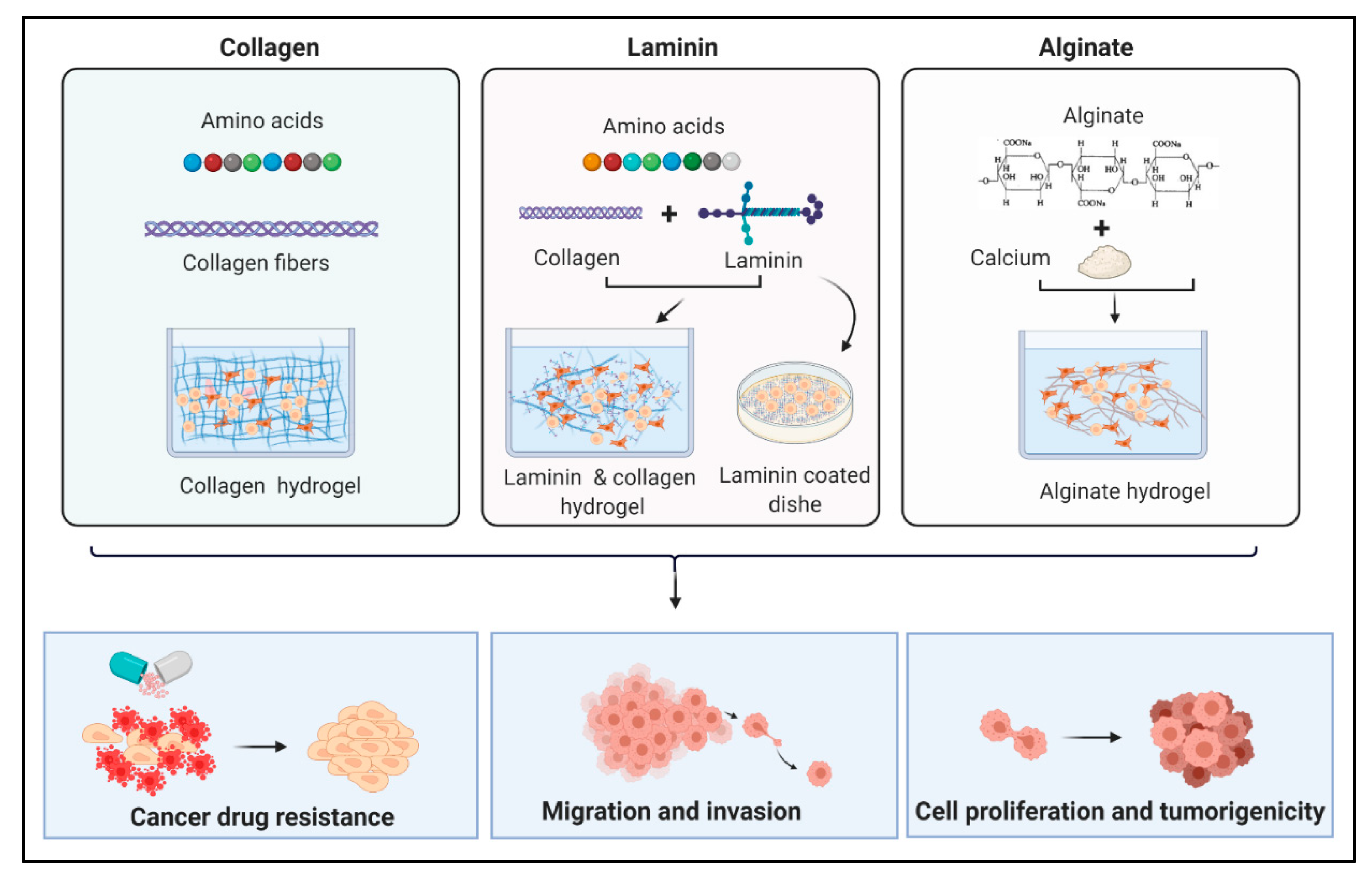 Processes 09 00045 g003
