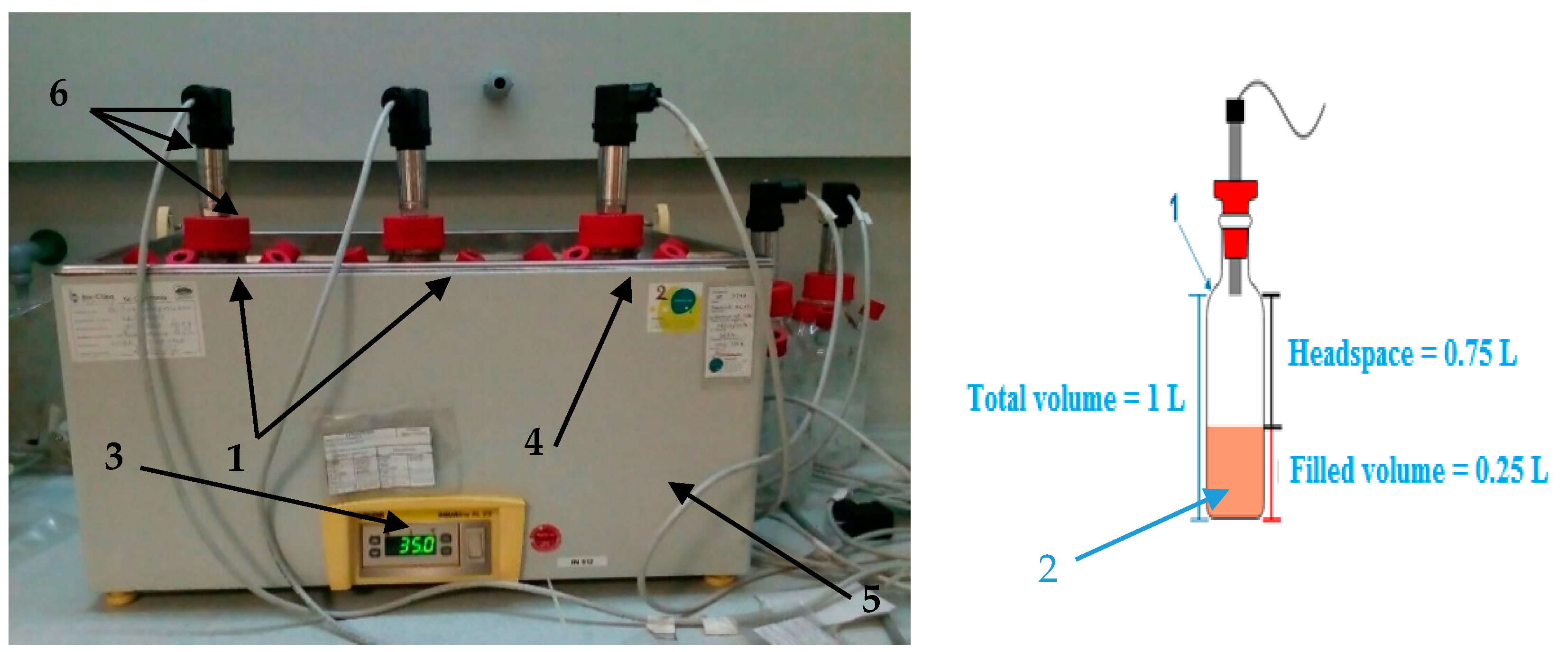 Processes 09 00048 g001 Processes 09 00048 g001