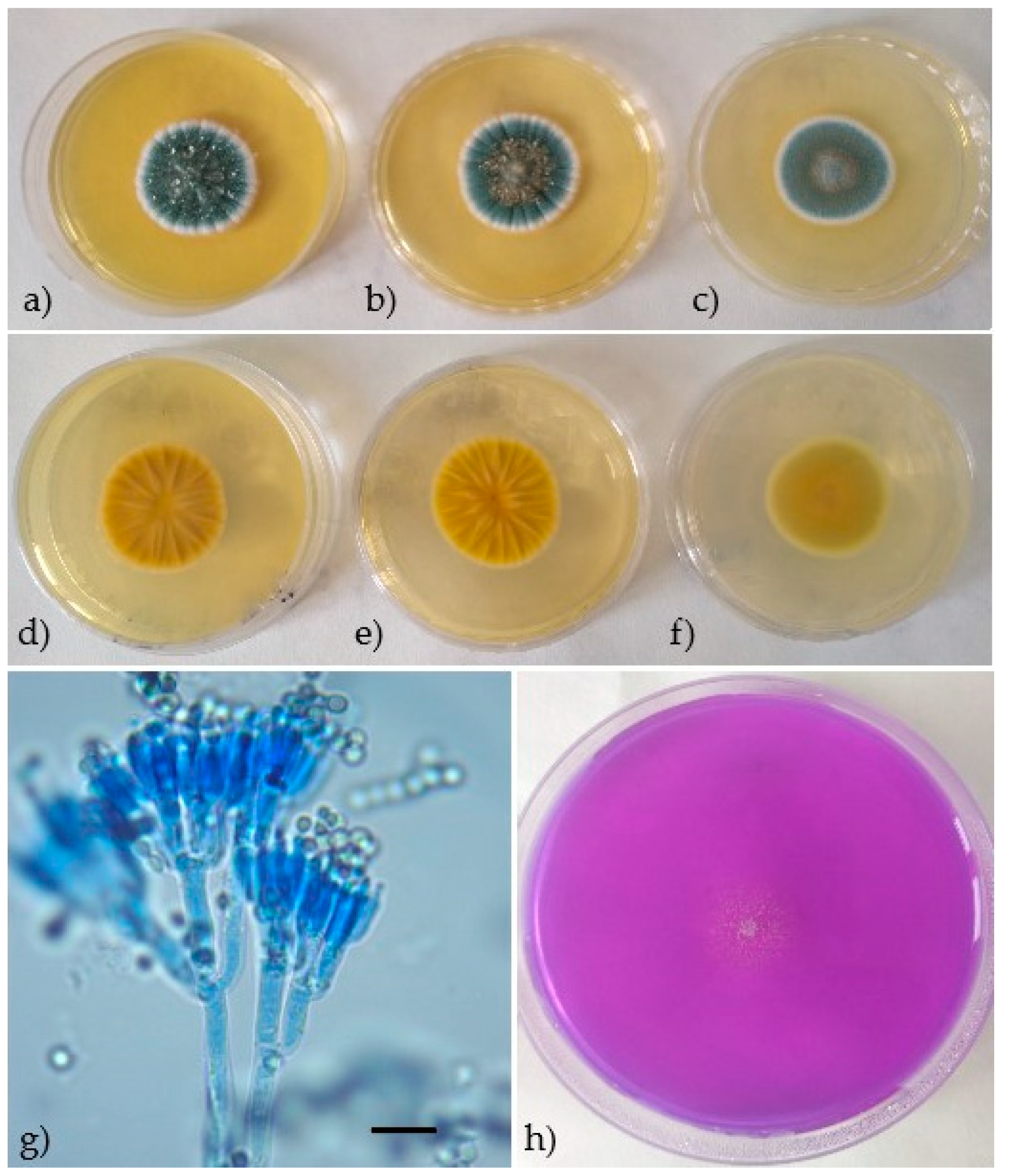 Processes 09 00053 g001 Processes 09 00053 g001