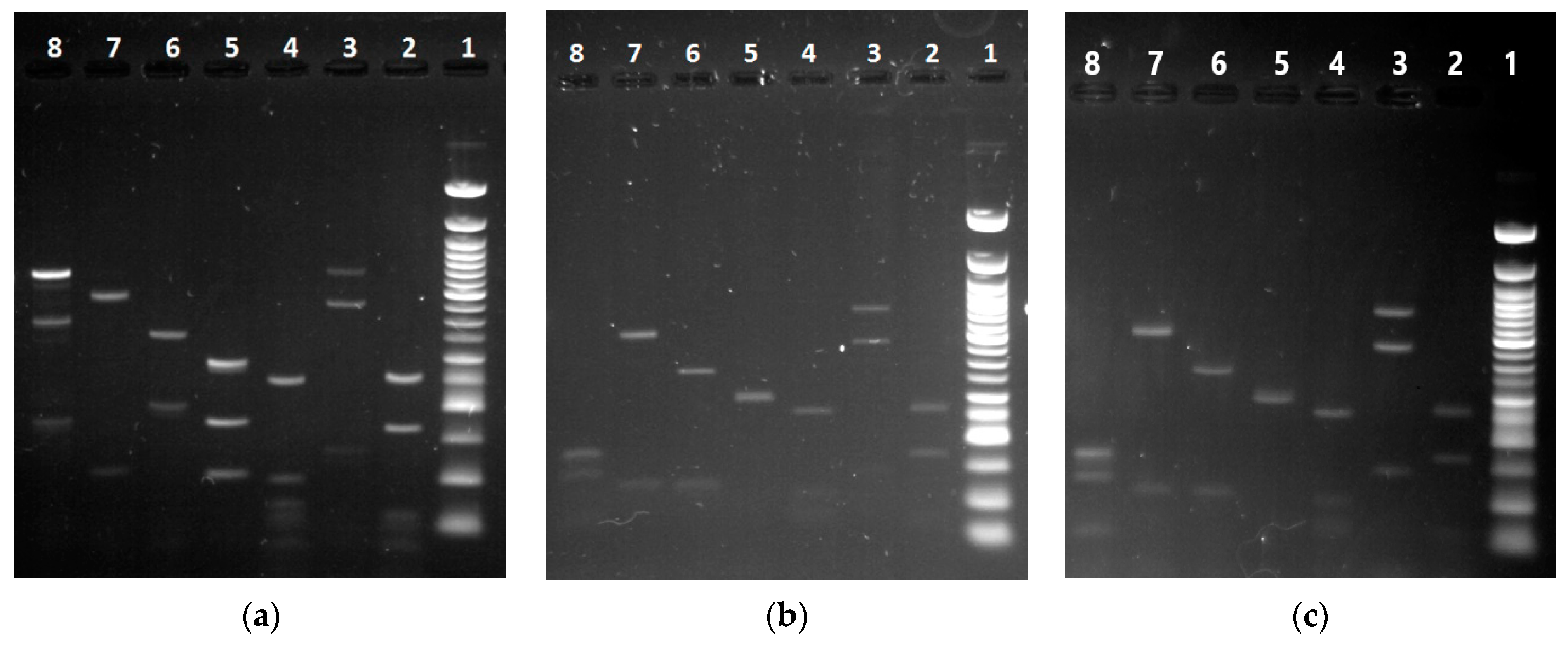 Processes 09 00053 g004 Processes 09 00053 g004