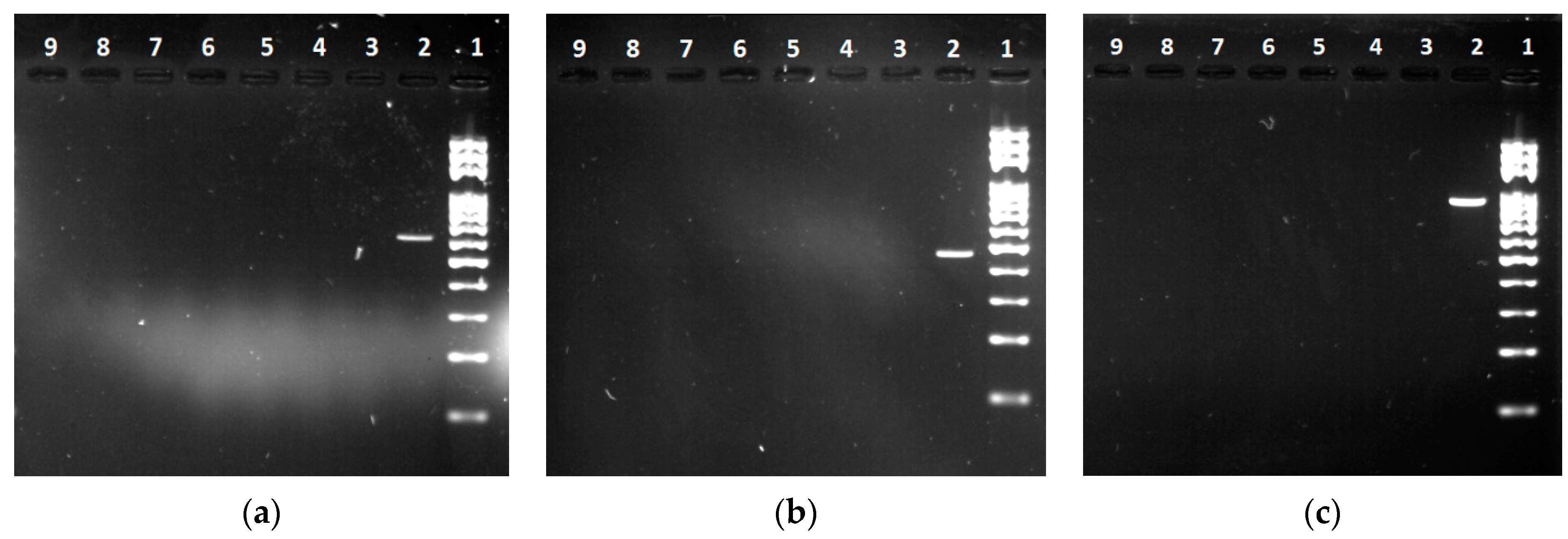 Processes 09 00053 g005 Processes 09 00053 g005