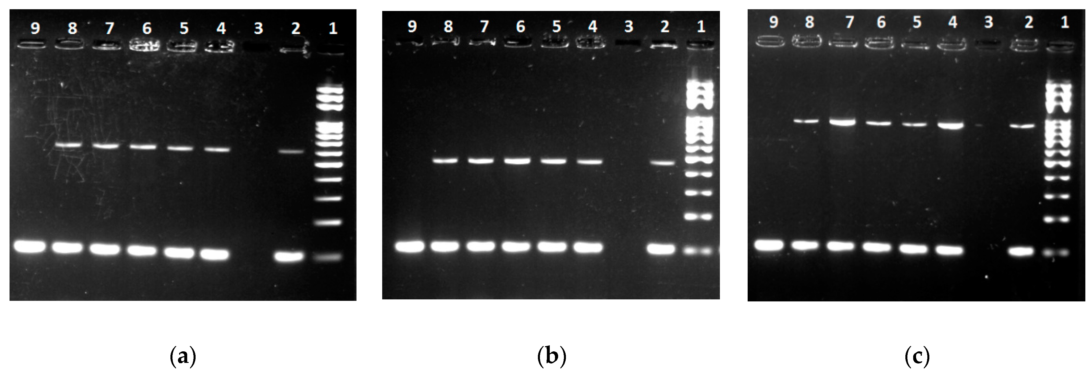 Processes 09 00053 g006 Processes 09 00053 g006