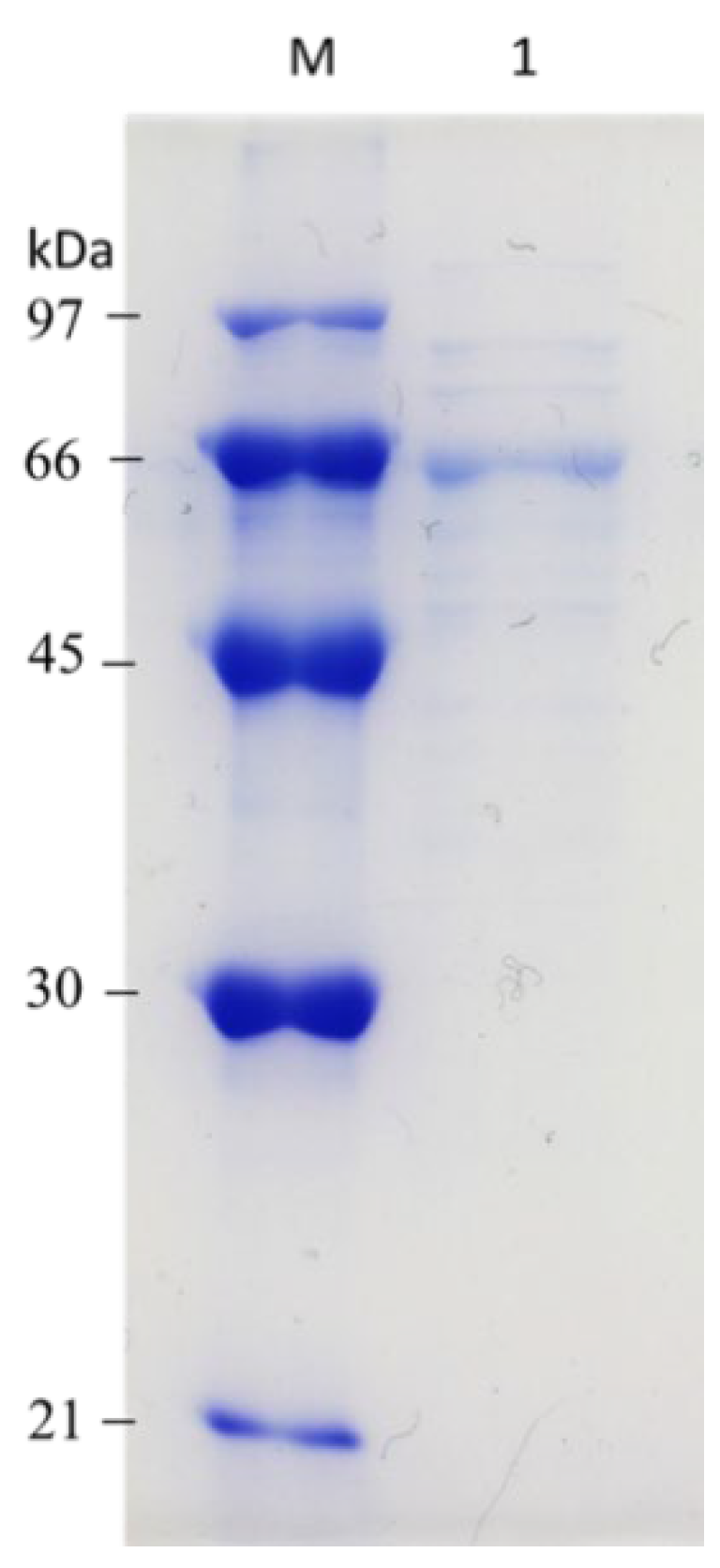 Processes 09 00056 g003 Processes 09 00056 g003