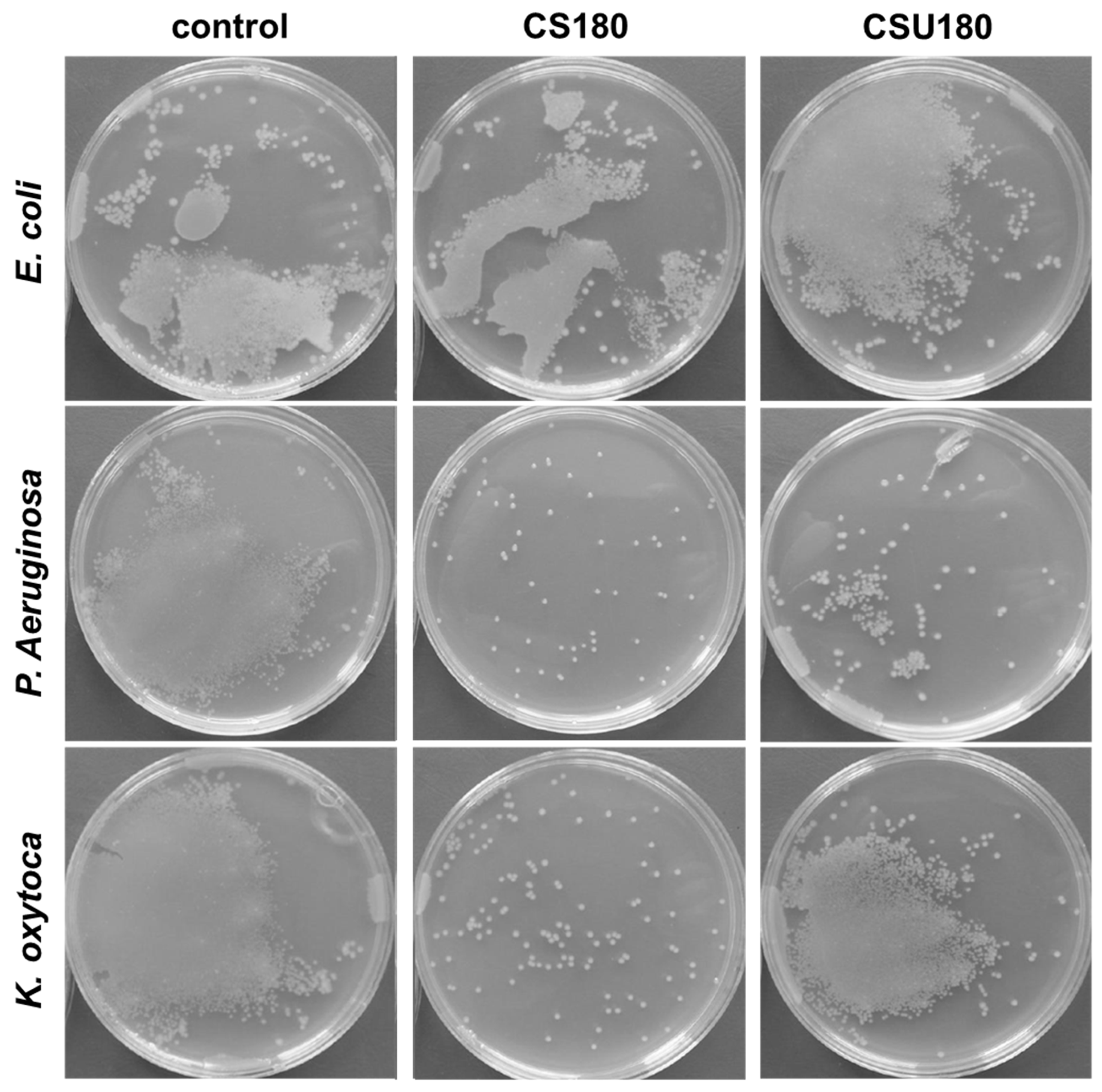 Processes 09 00061 g008