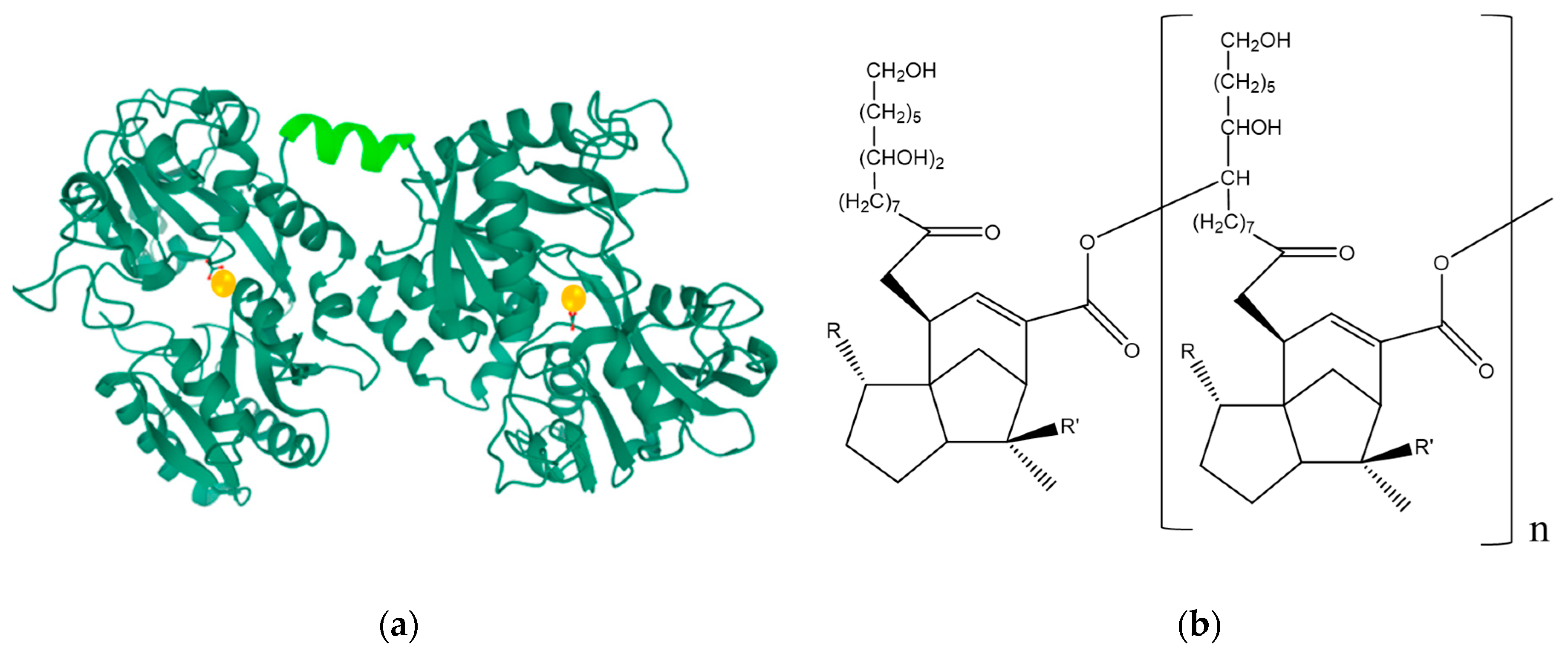 Processes 09 00073 g001