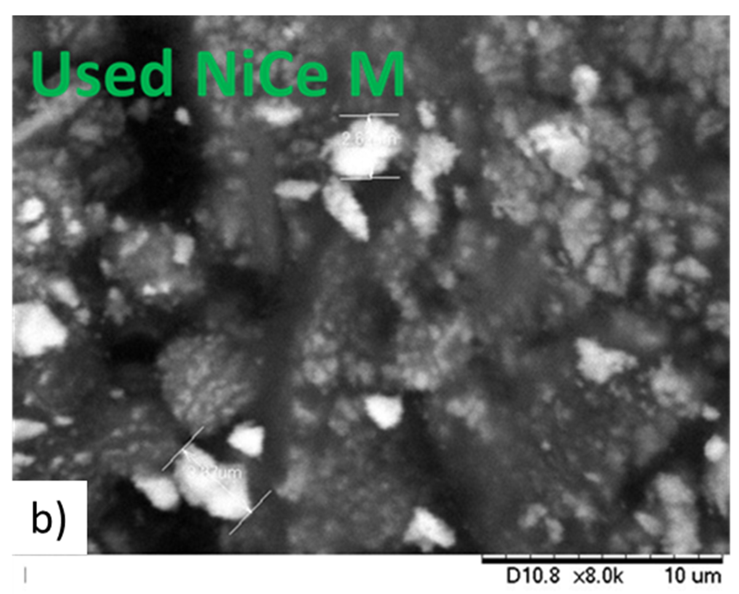 Processes 09 00077 g007b