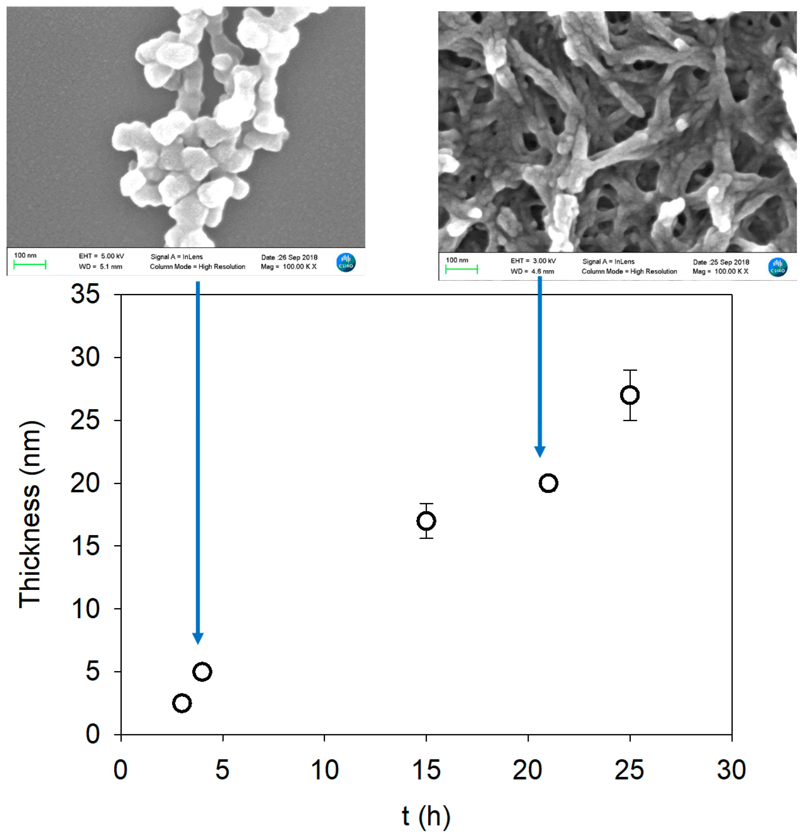 Processes 09 00082 g003 Processes 09 00082 g003
