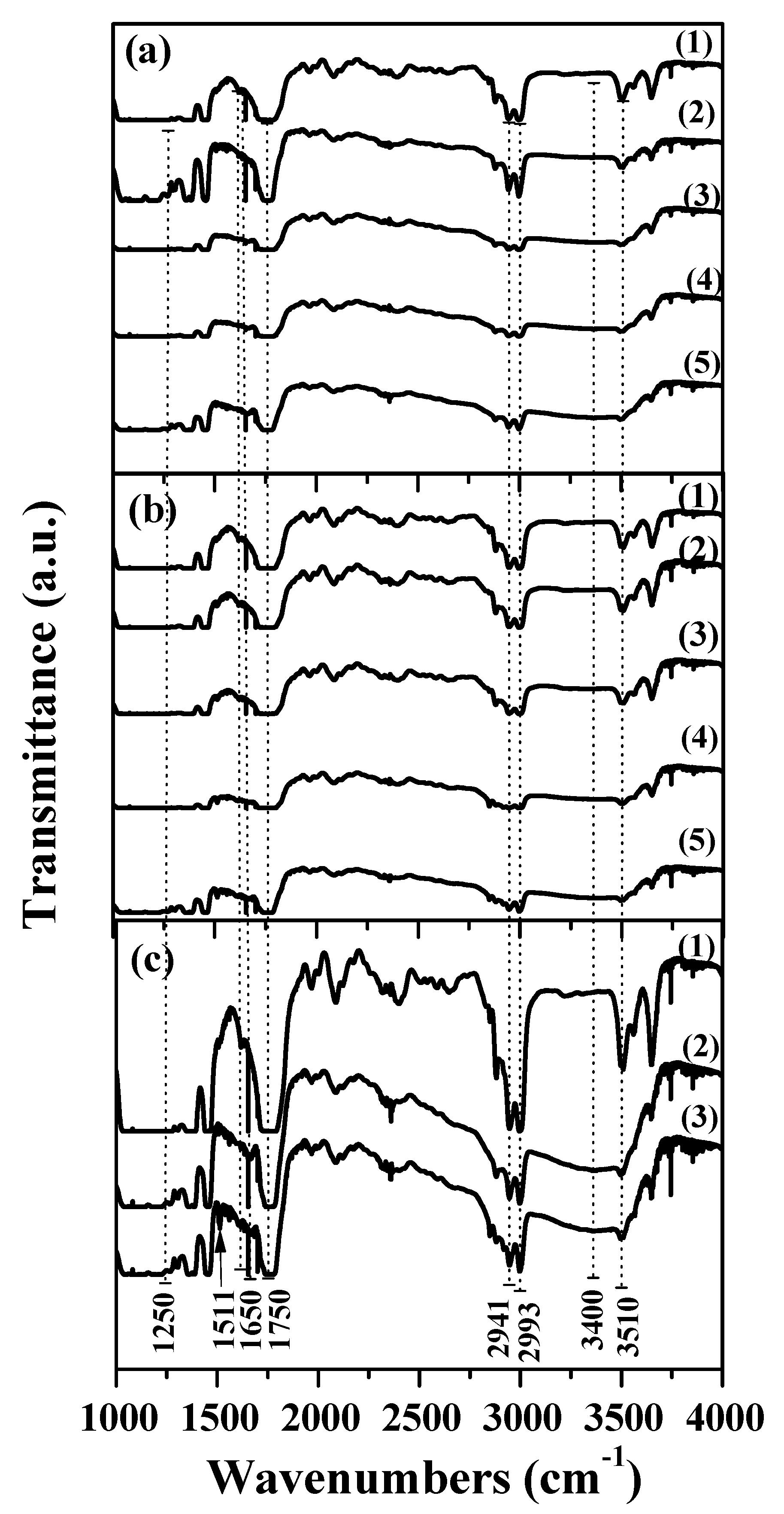 Processes 09 00088 g003 Processes 09 00088 g003