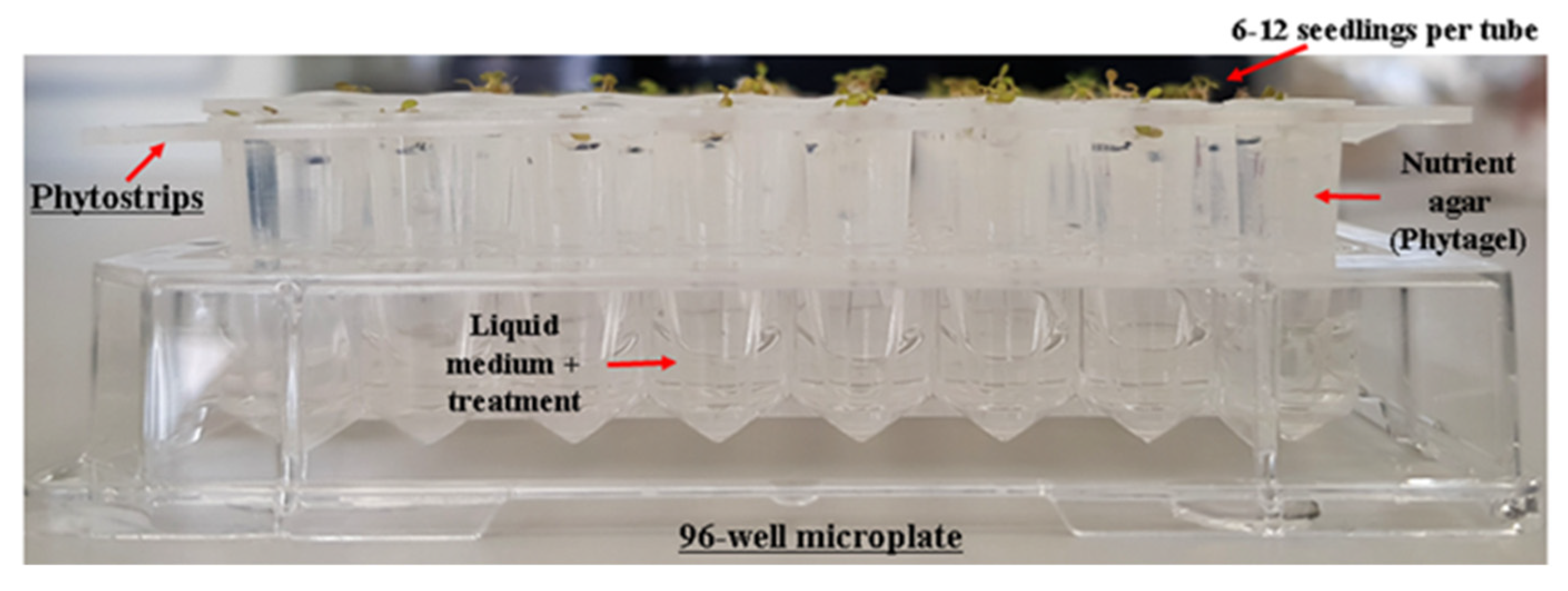 Processes 09 00103 g003
