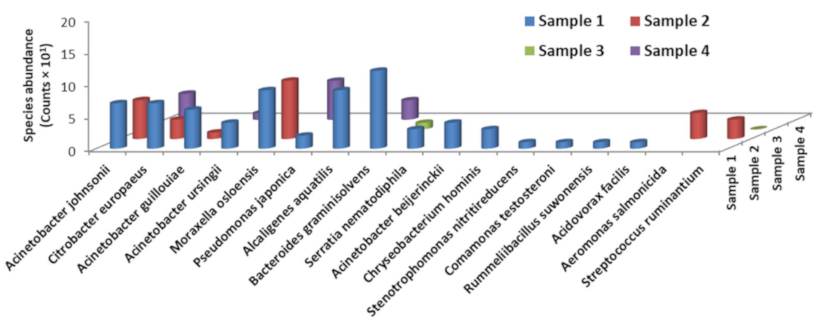 Processes 09 00114 g002