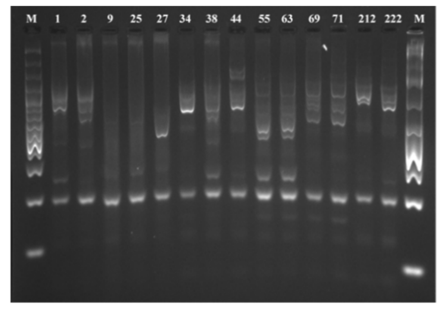 Processes 09 00114 g003