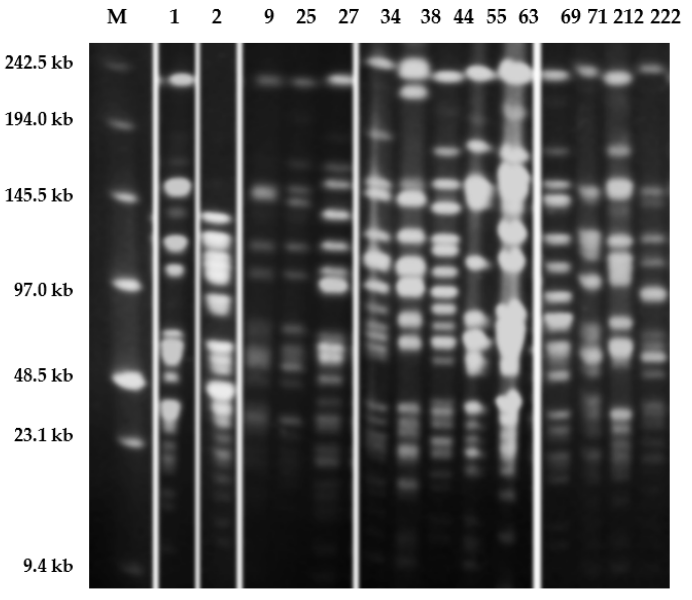 Processes 09 00114 g006