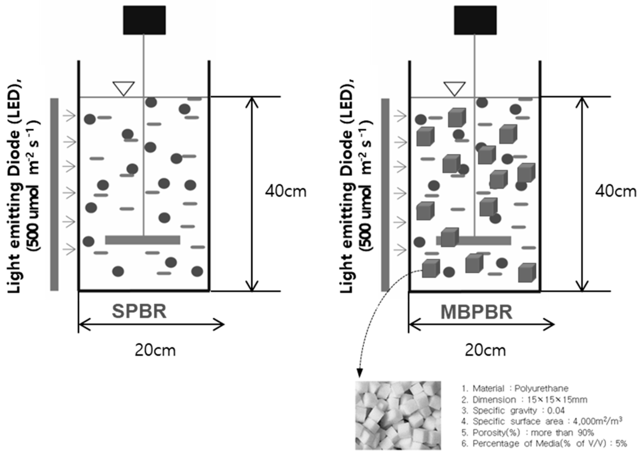 Processes 09 00116 g002