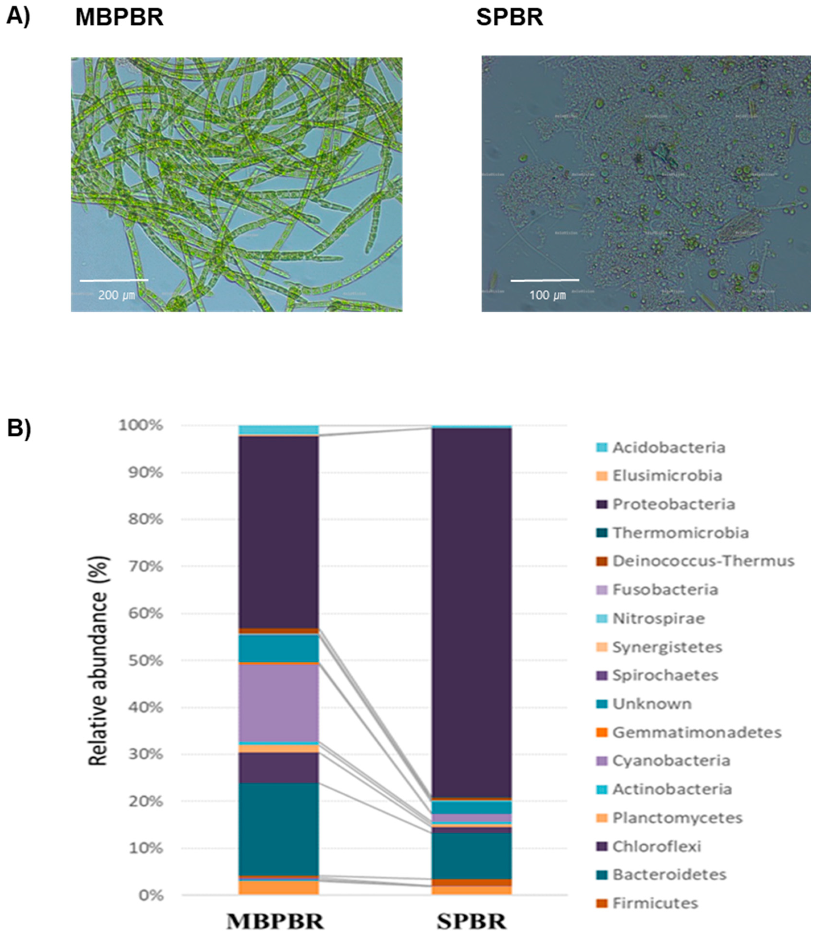 Processes 09 00116 g006