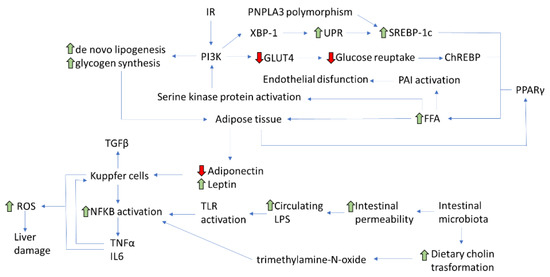 Processes 09 00135 g002 550