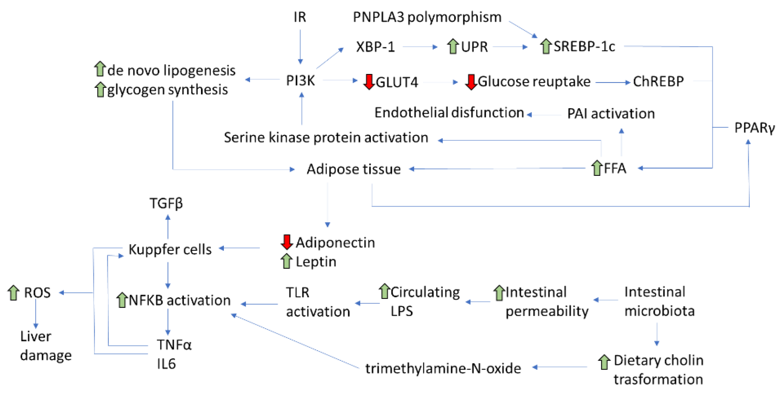 Processes 09 00135 g002