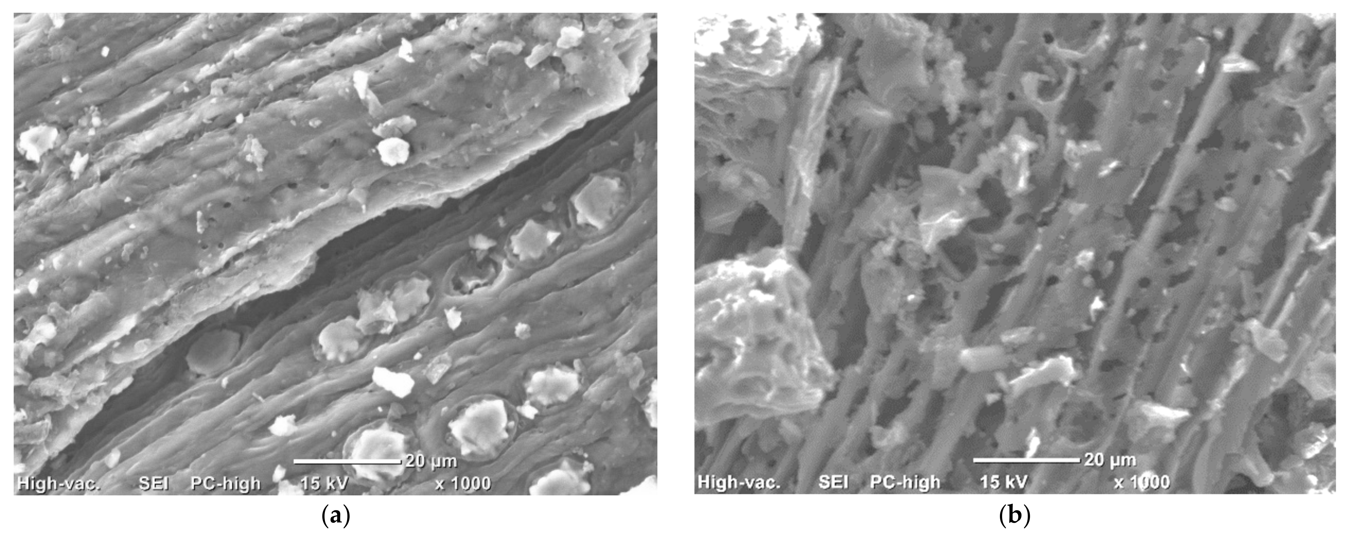 Processes 09 00149 g003 Processes 09 00149 g003